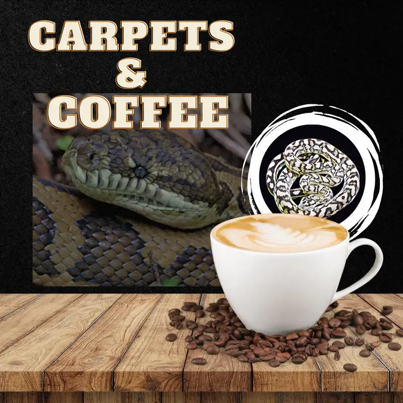 Carpets & Coffee # 81