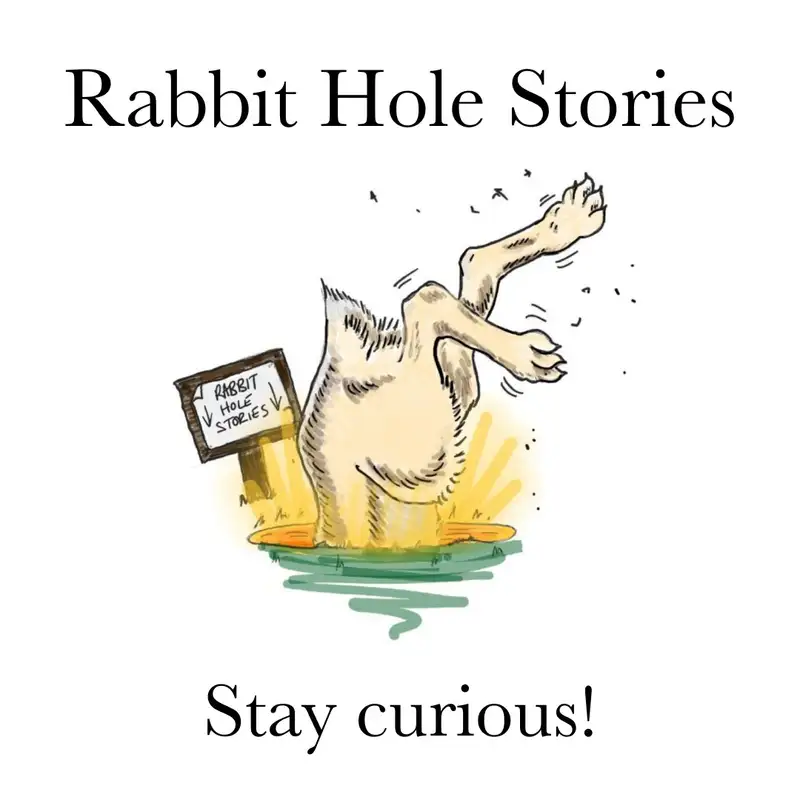 Rabbit Hole Stories