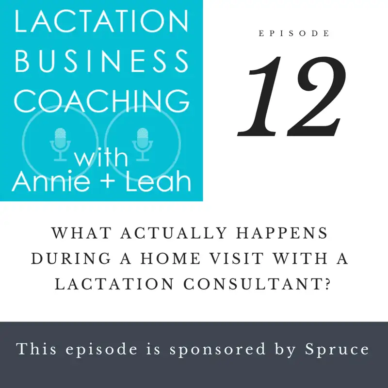 12 | What Actually Happens During a Home Visit with a Lactation Consultant?