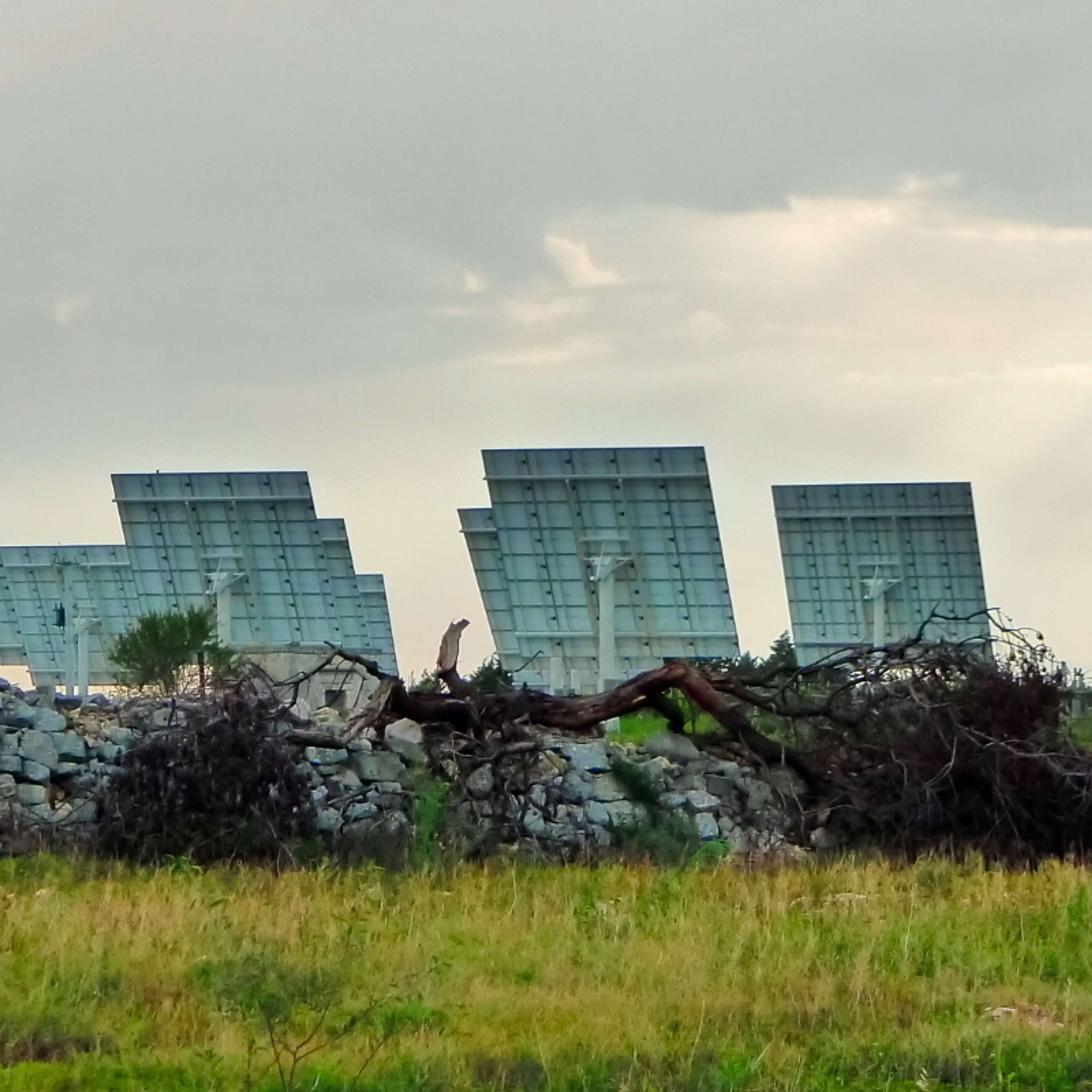 The Truth About Climate Change and "Green" Energy (Guest: C. Michael Hogan, Ph.D.)