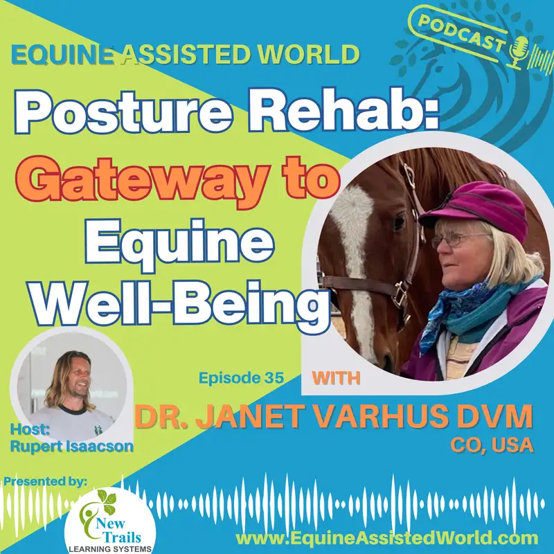 Healing Horses, Healing Humans: Dr. Janet Varhus on Ulcers, Posture & Equine Well-Being | EP 35