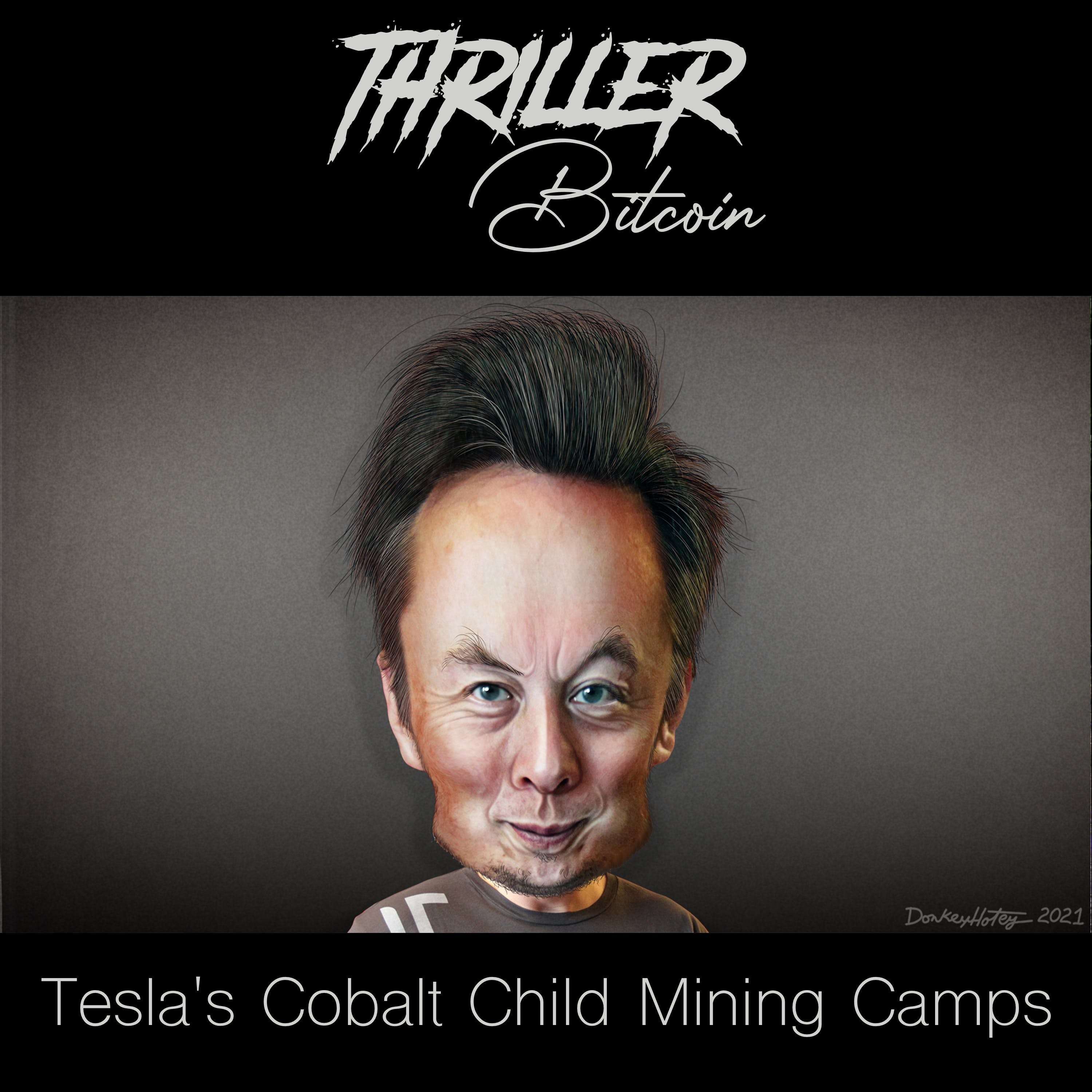 Thriller Bitcoin: Tesla's Cobalt Child Mining Camps