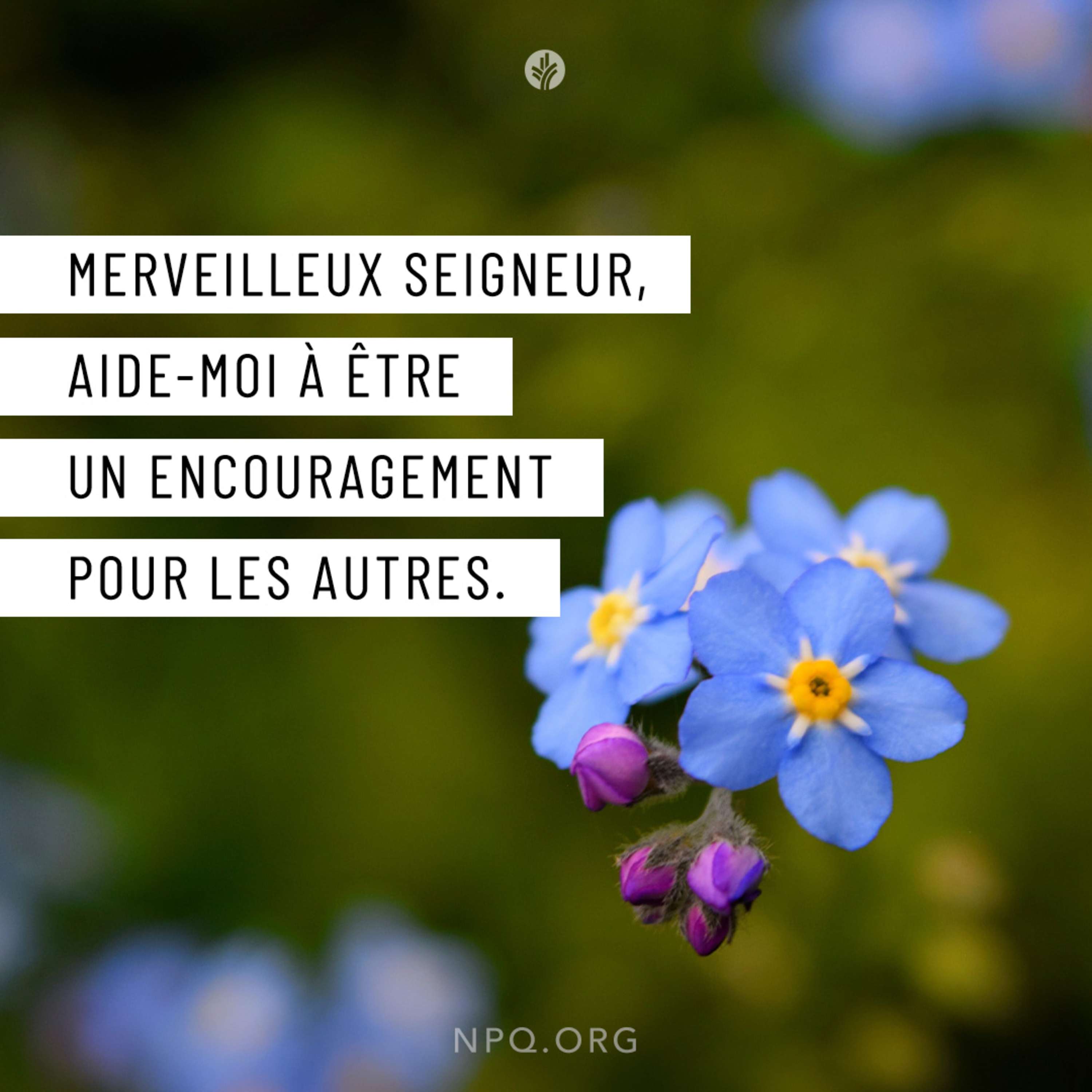 Notre Pain Quotidien podcast