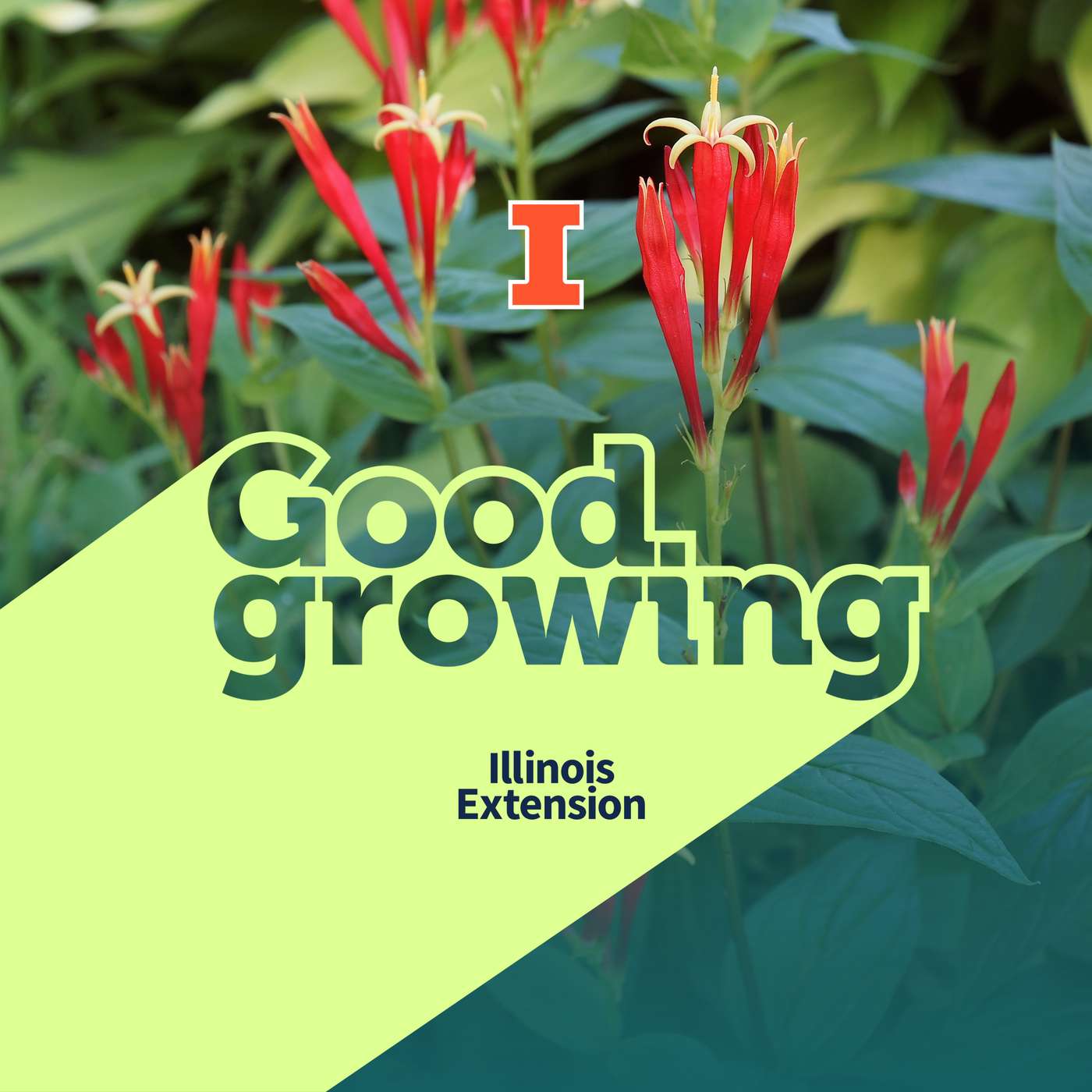 Good Growing