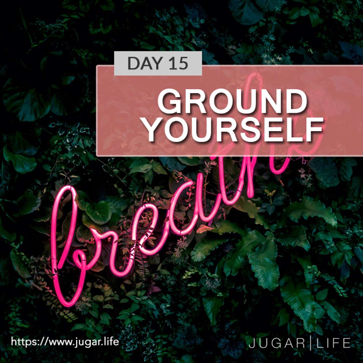 Day Fifteen | Ground yourself