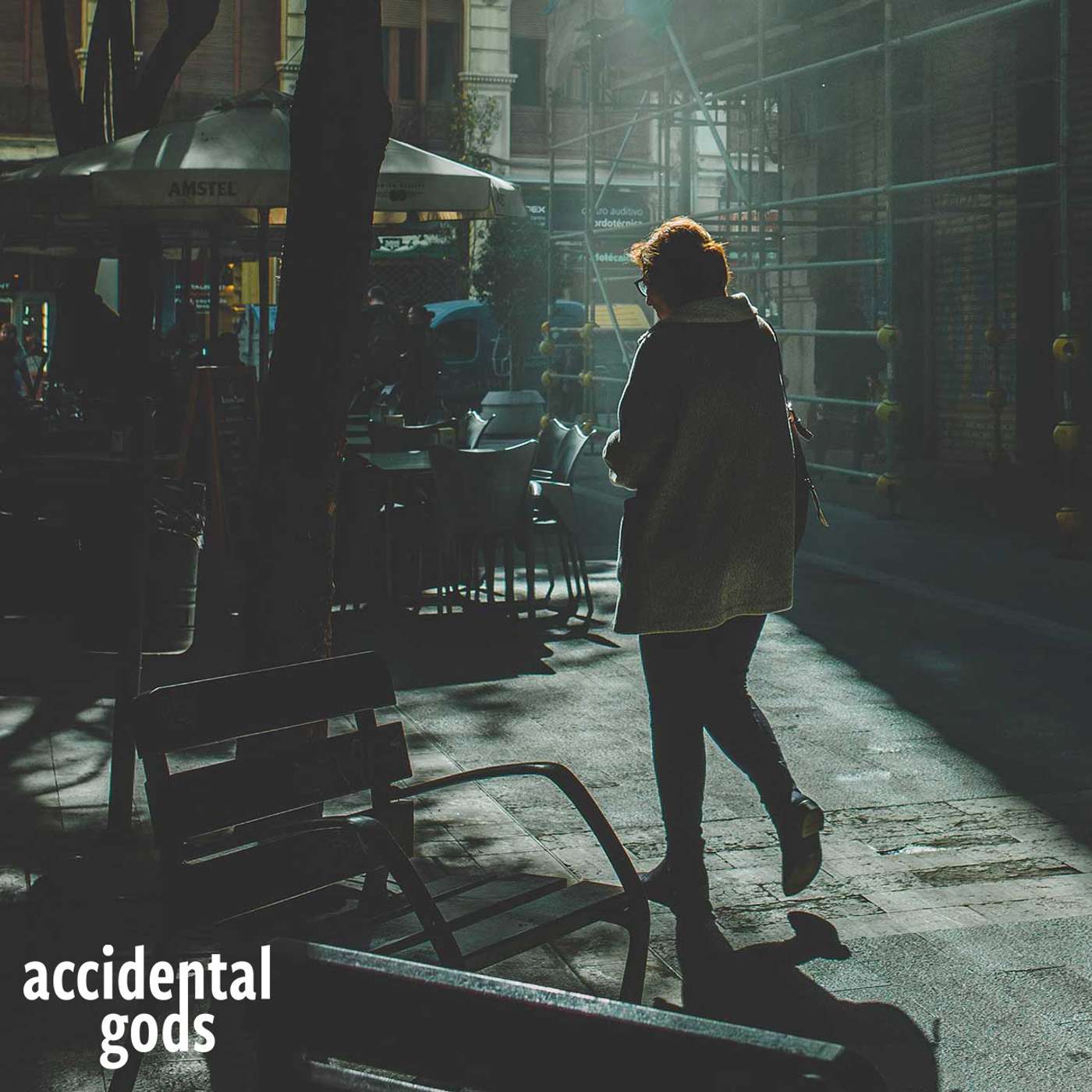 Accidental Gods