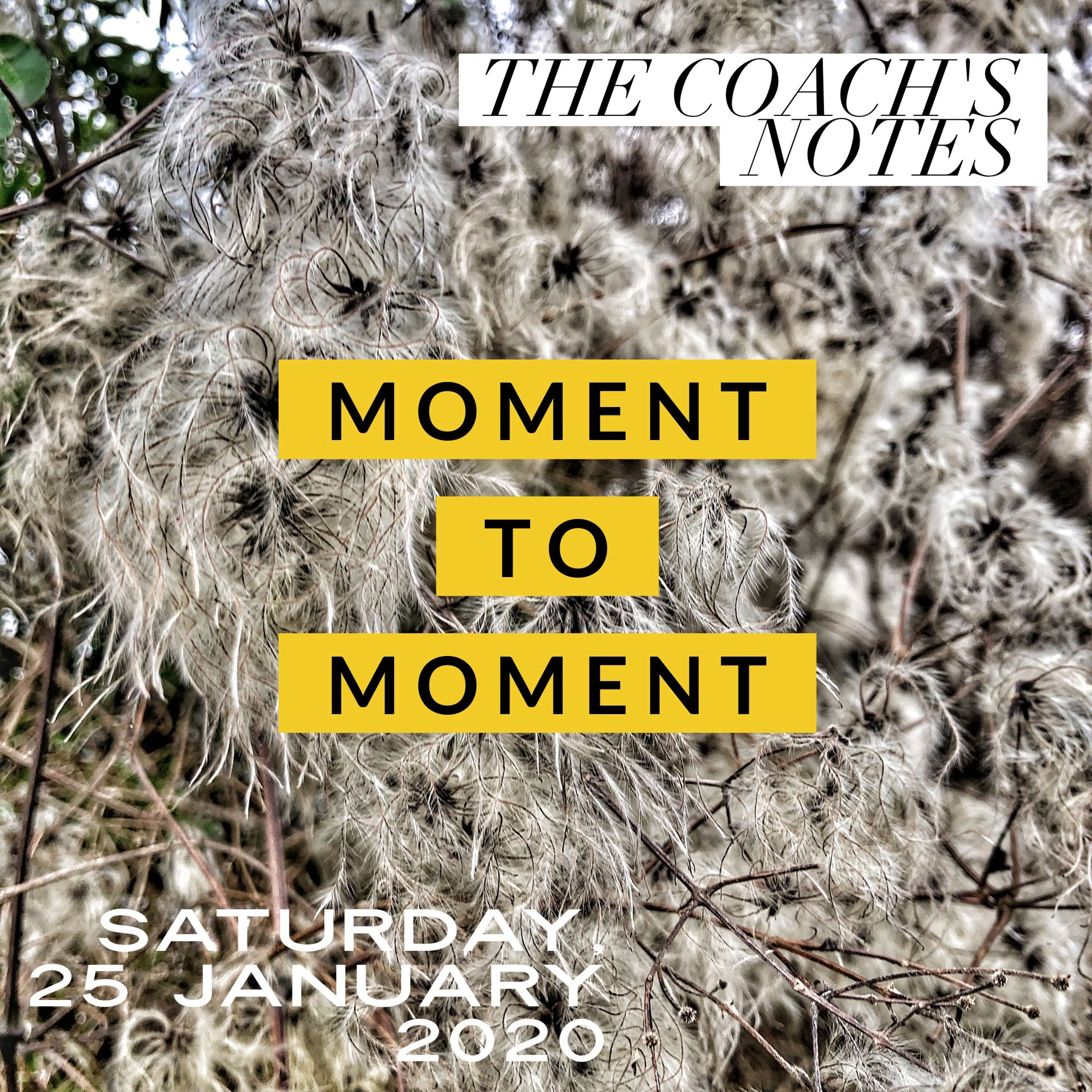 Moment to Moment