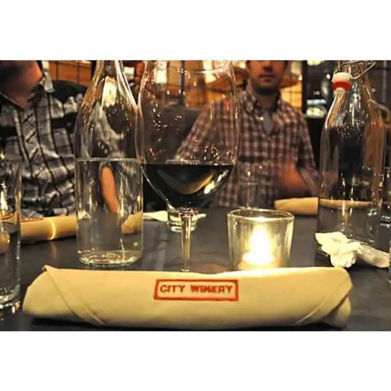 Red Velvet Media goes to The City Winery in NYC!