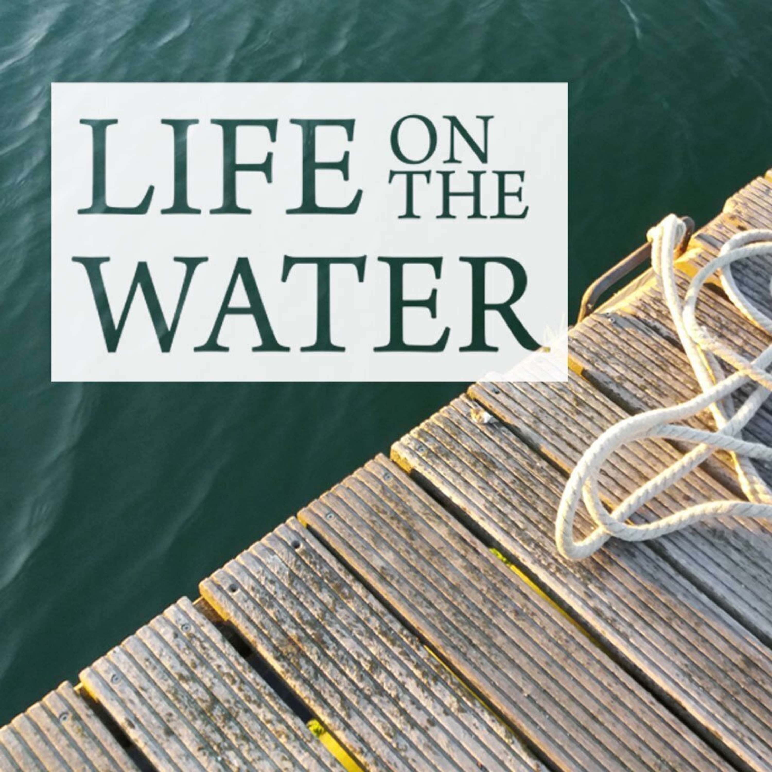 Cast Your Net