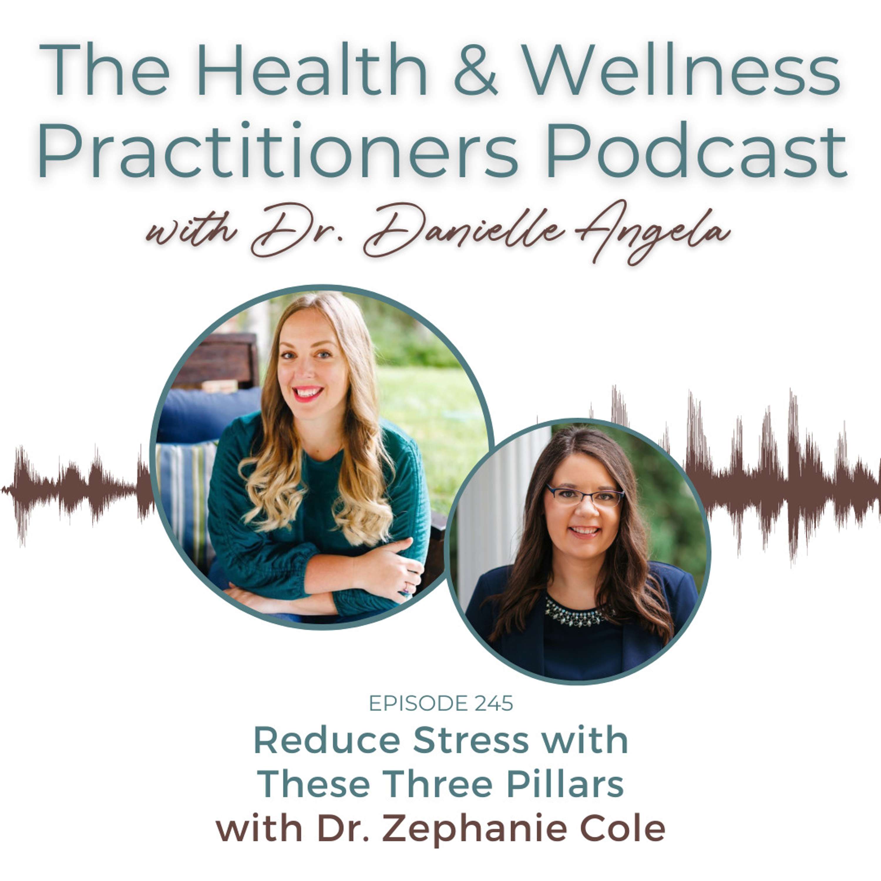 The Health & Wellness Practitioners Podcast