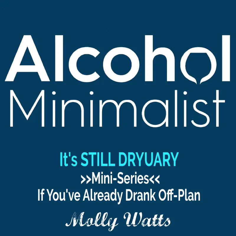 It's STILL Dryuary Mini-Series: If You've Already Drank Off Plan