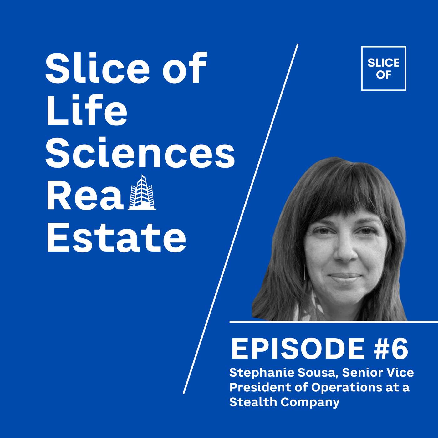 #6 - Stephanie Sousa, Senior Vice President of Operations at a Stealth Company