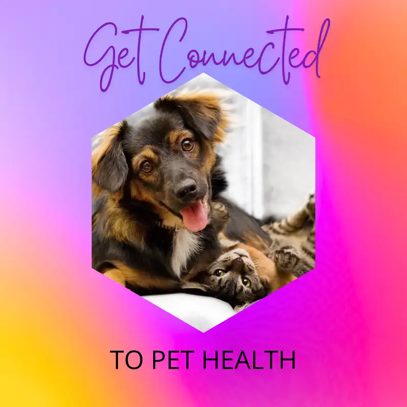 Pet Health with Carol Still