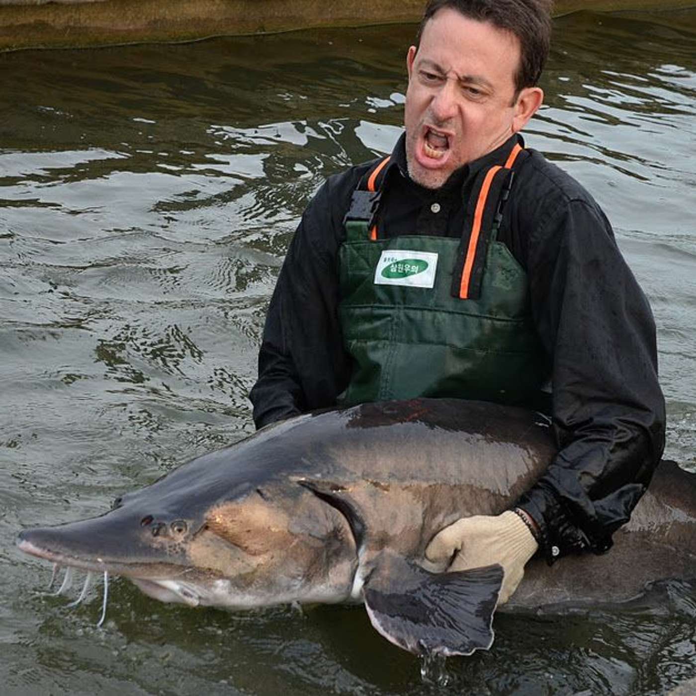 The Dry Spellcast 72: Show Us Your Sturgeon episode artwork