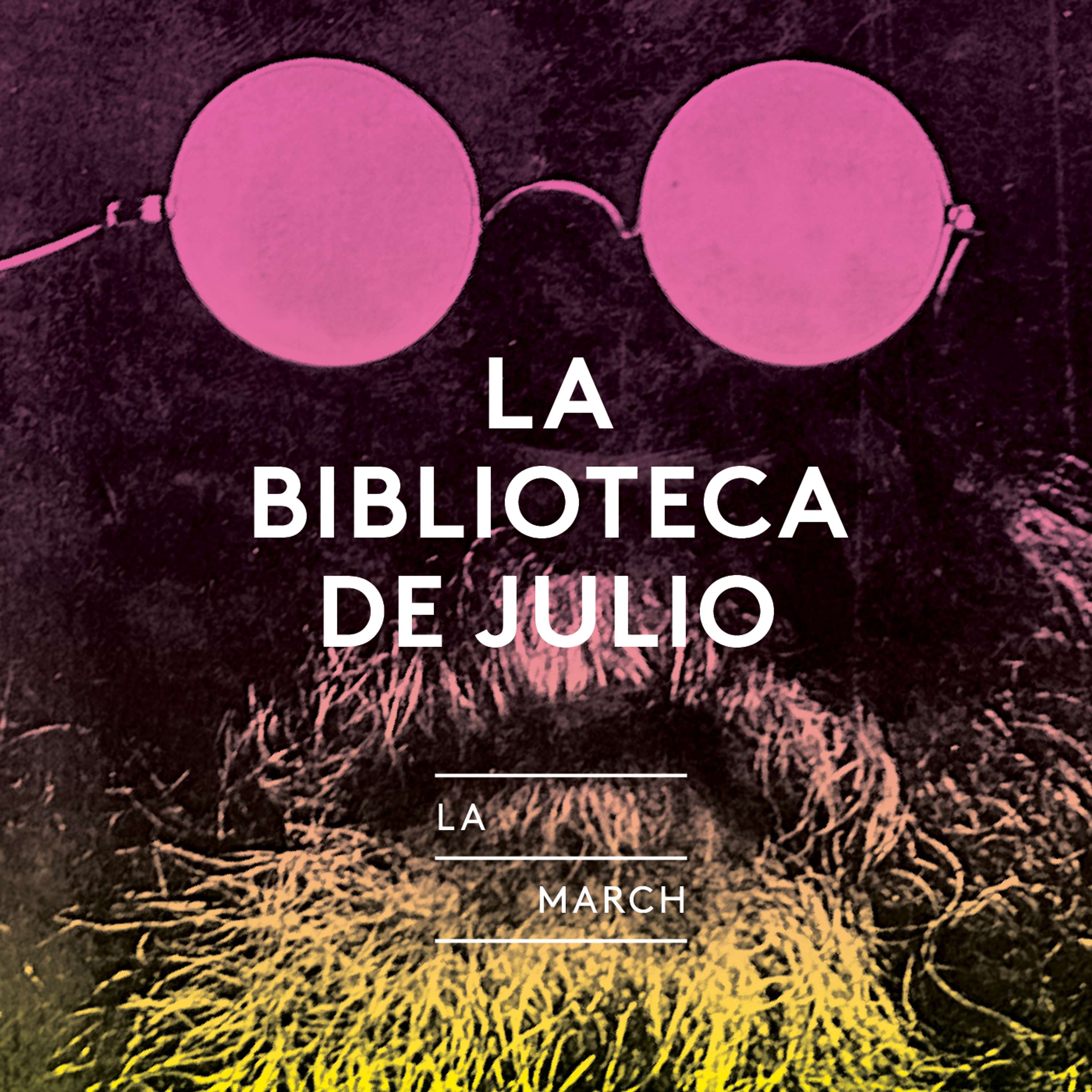 La biblioteca de Julio