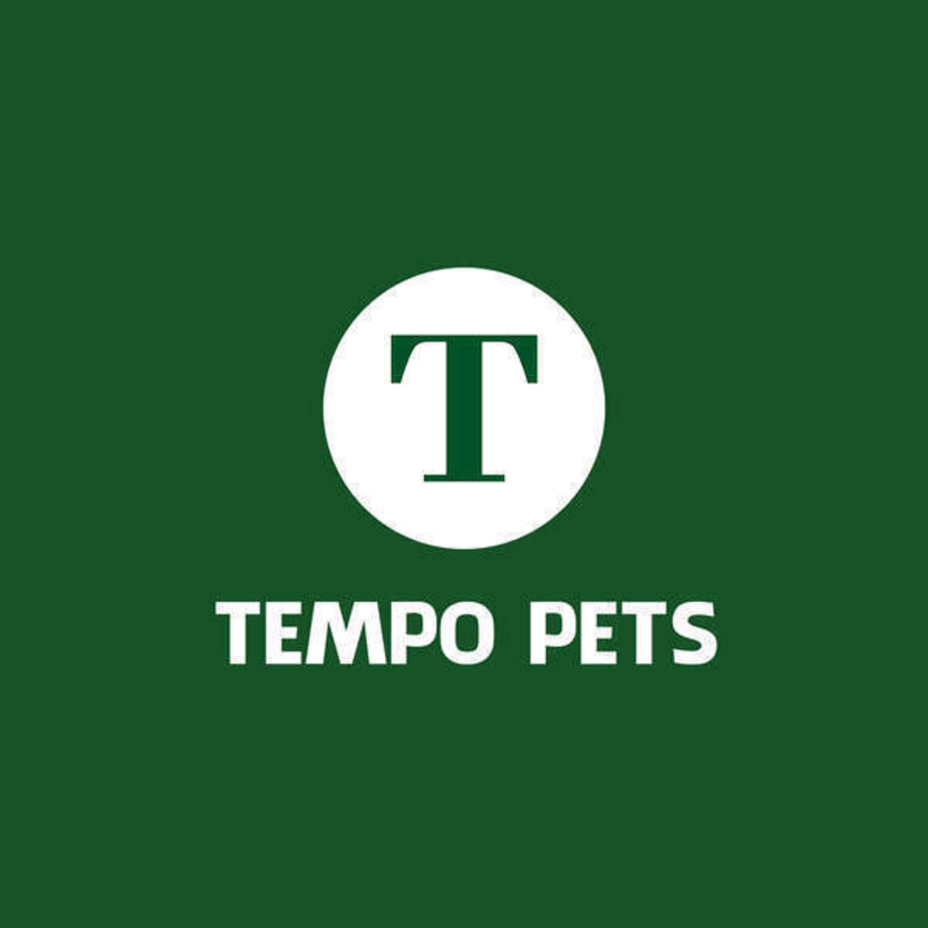 Tempo Pets