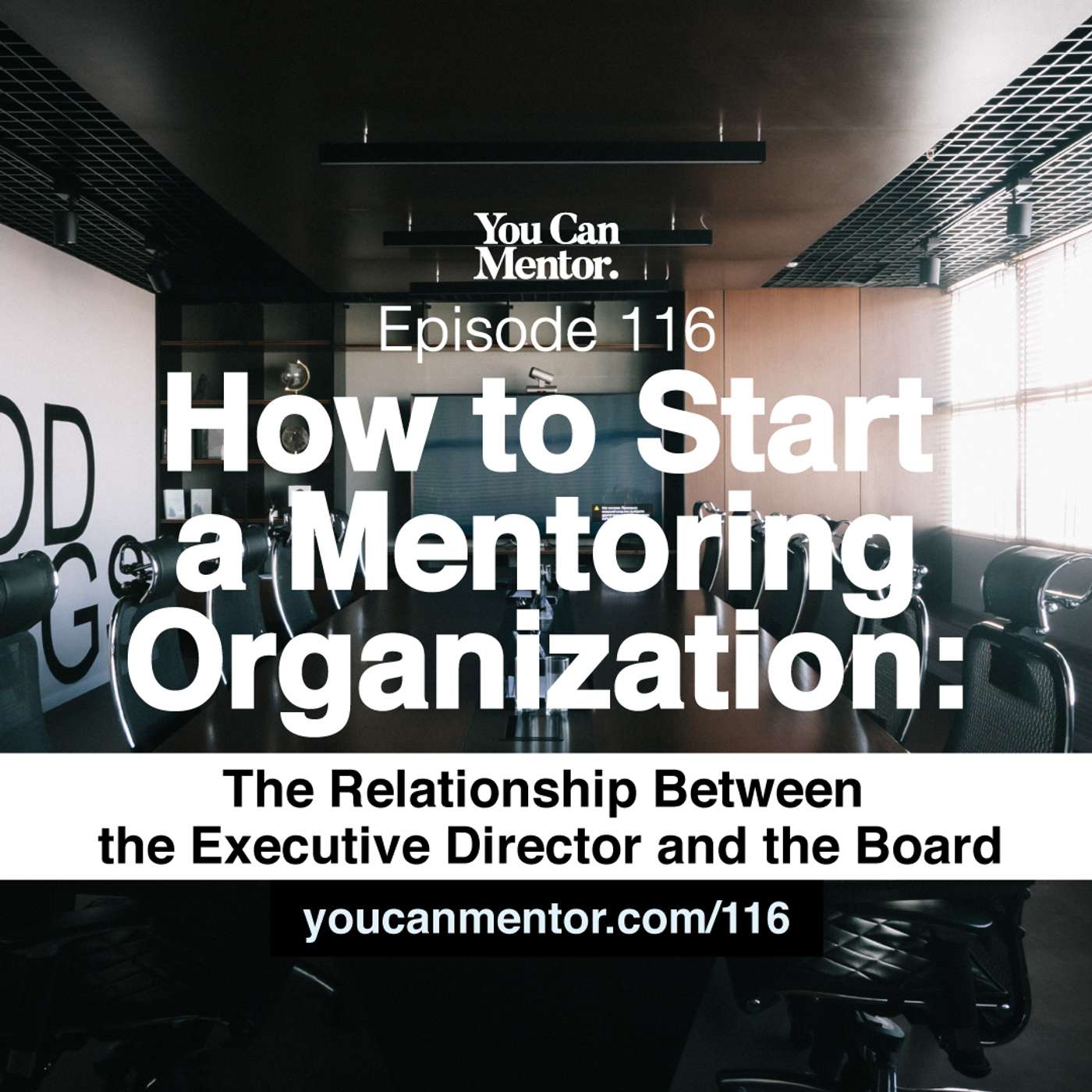 116. How to Start a Mentoring Organization: The Relationship Between the Executive Director and the Board