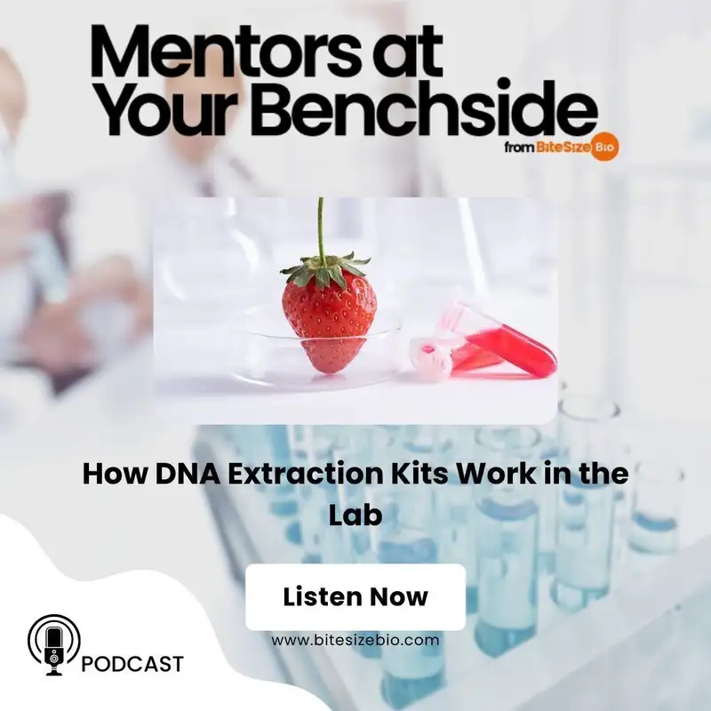 How DNA Extraction Kits Work in the Lab