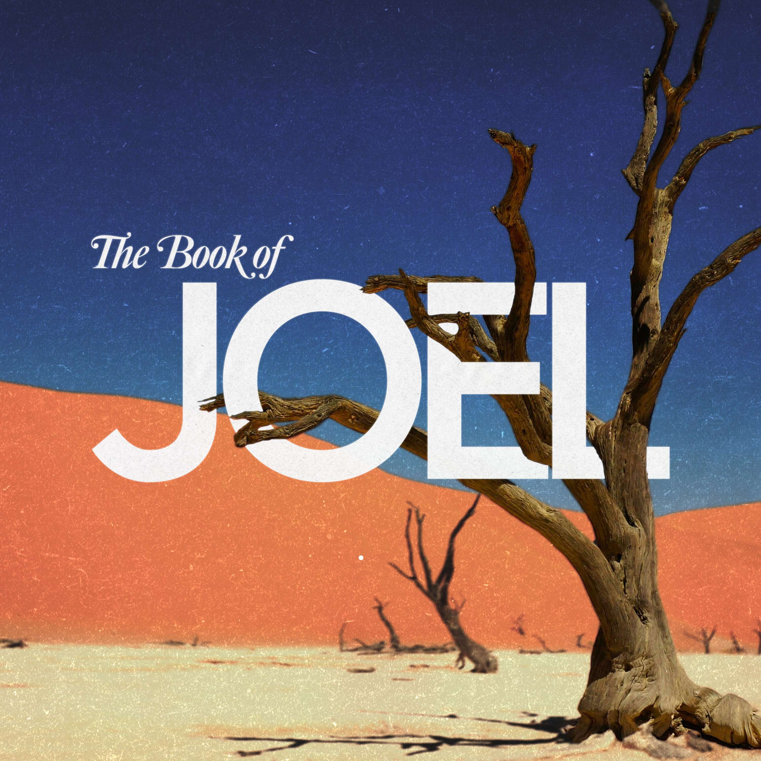 Joel • Week 1