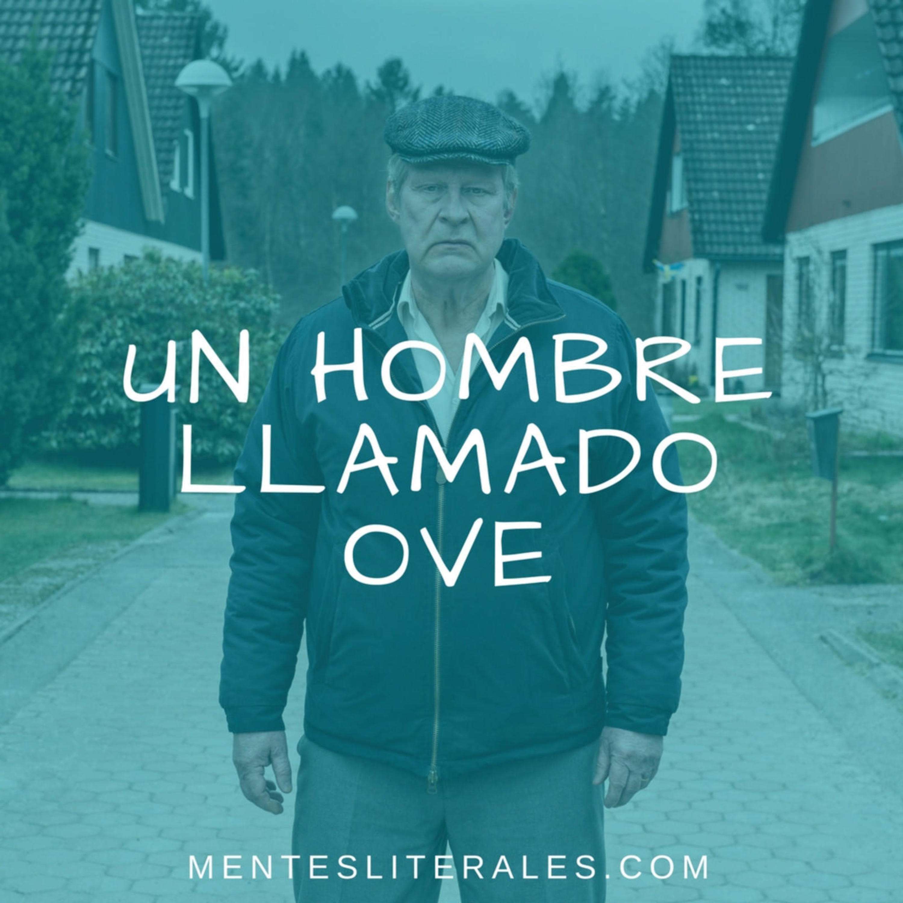 MentesLiterales - Recomendaciones y Reseñas de Libros