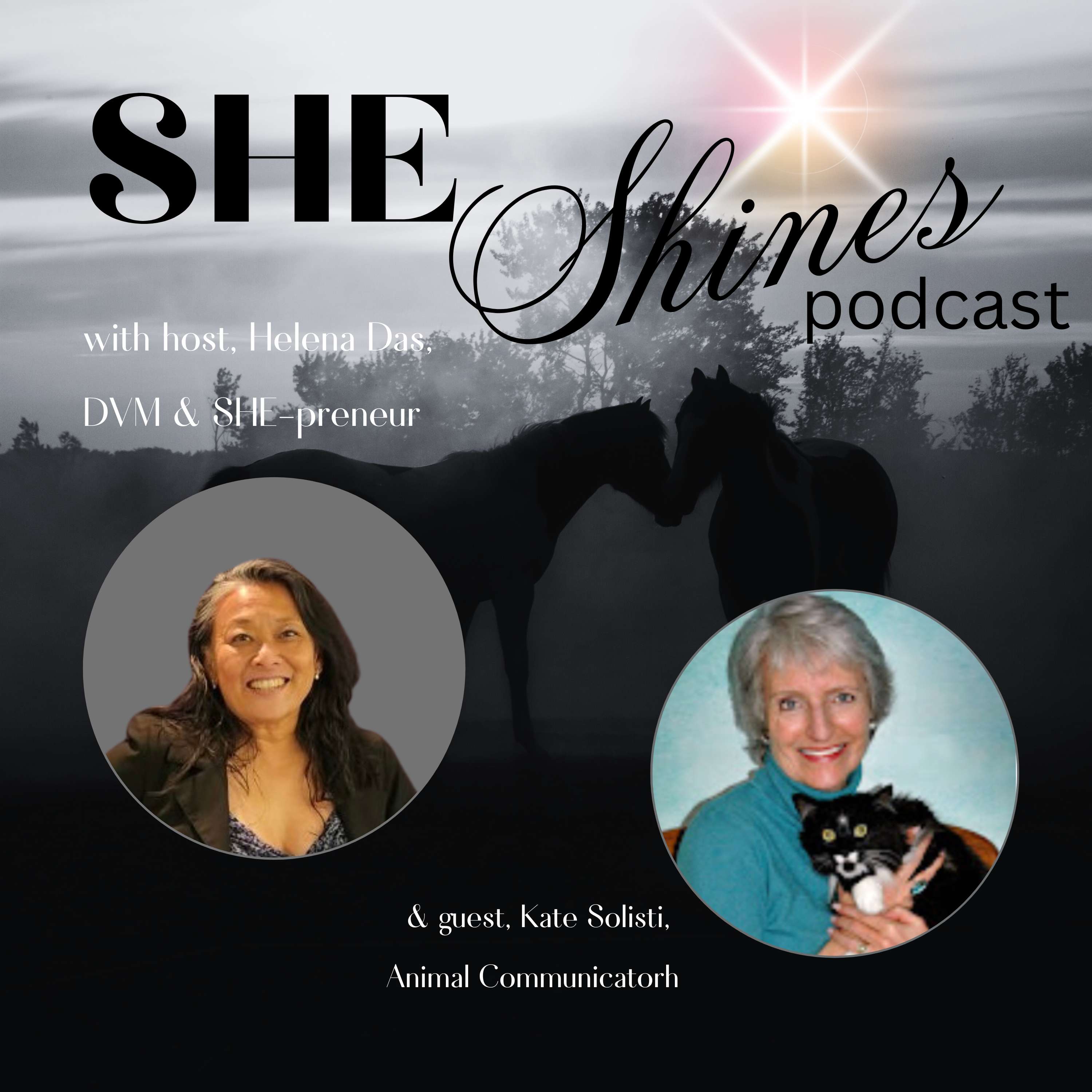 SHE Shines:  Helping \'Dark Horse-preneurs\' Unlock their Light & Get Paid to Shine