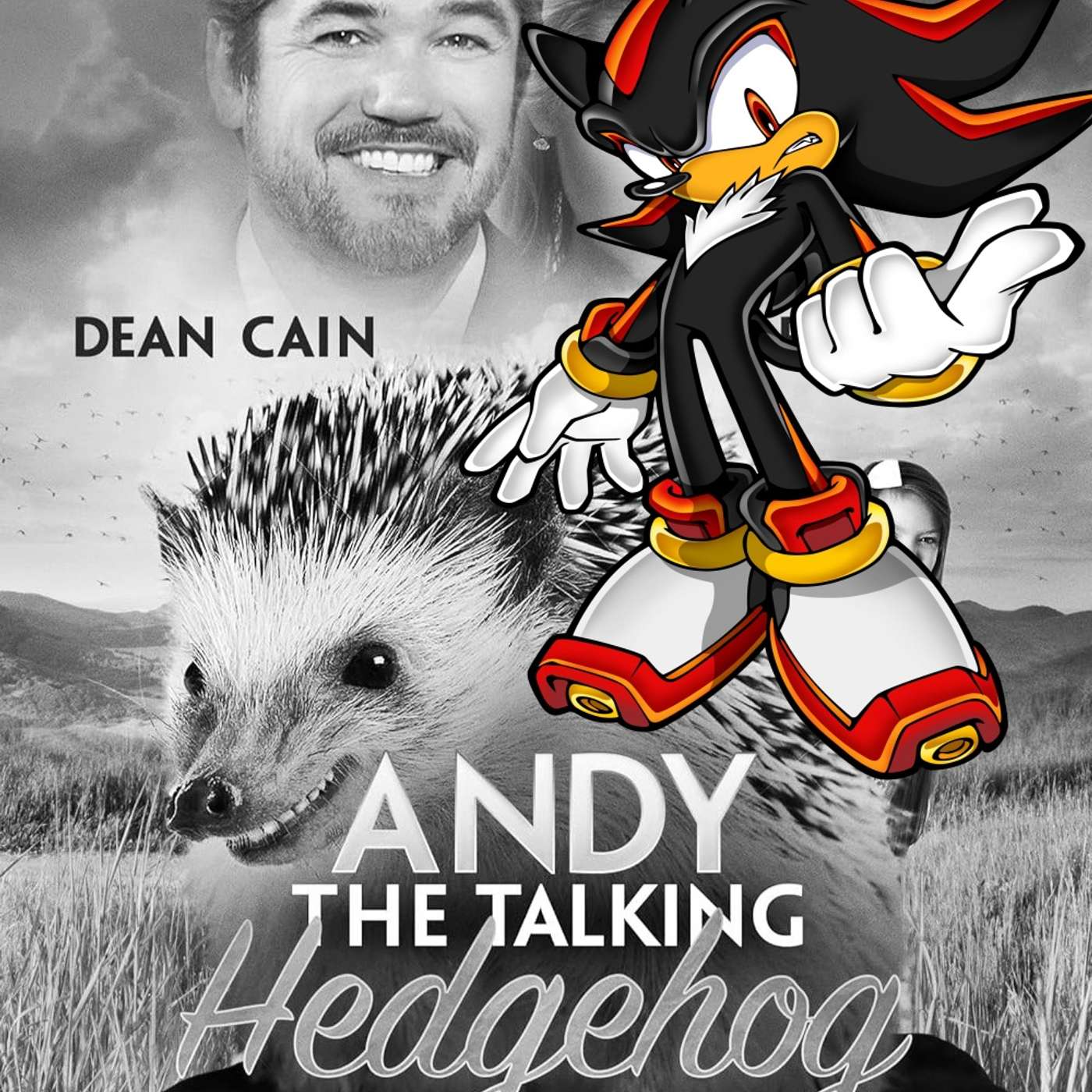 Shadow the Hedgehog Special