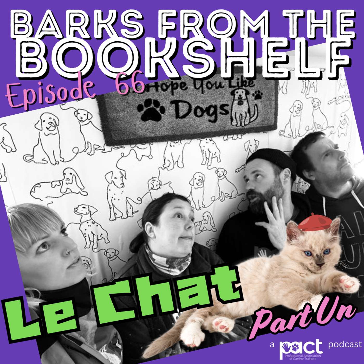 #65 Le Chat - Part un