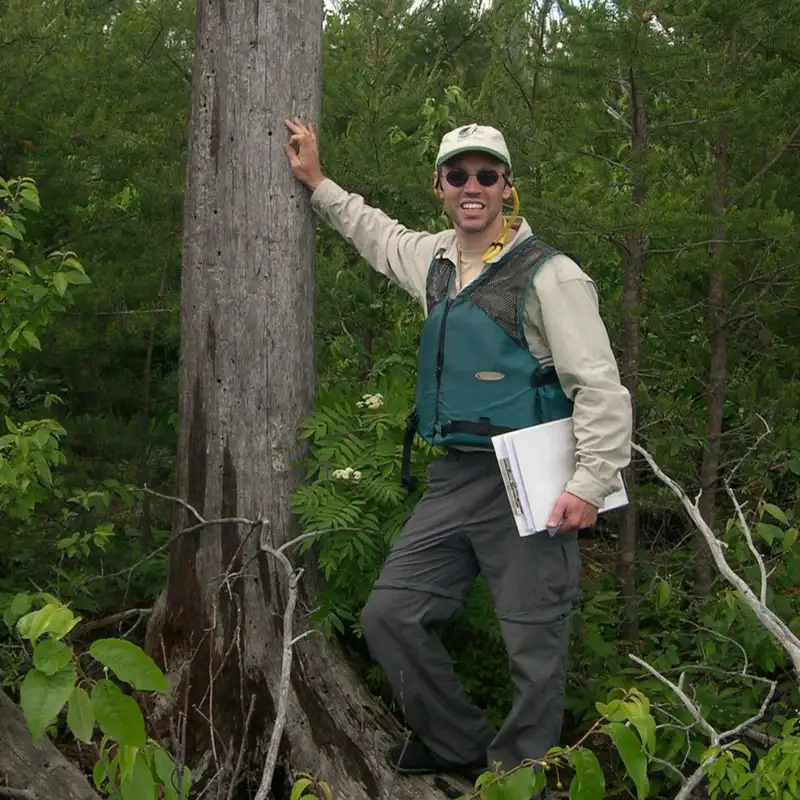 Mitigating & Monitoring Spruce Budworm in Northeastern Minnesota