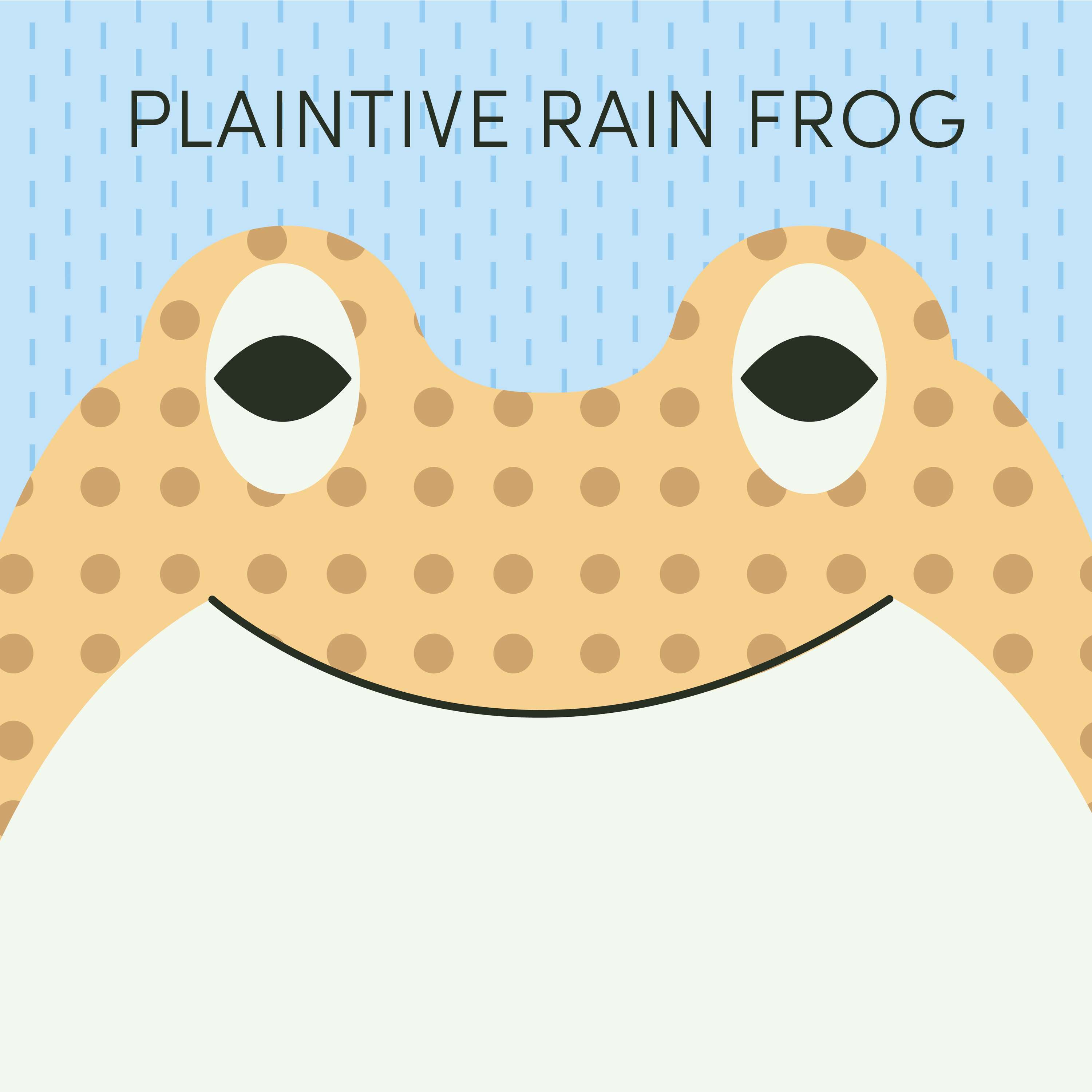 Plaintive Rain Frog | Week of July 18th