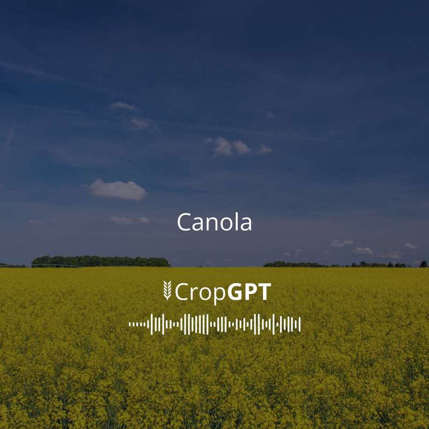 CropGPT - Oils
