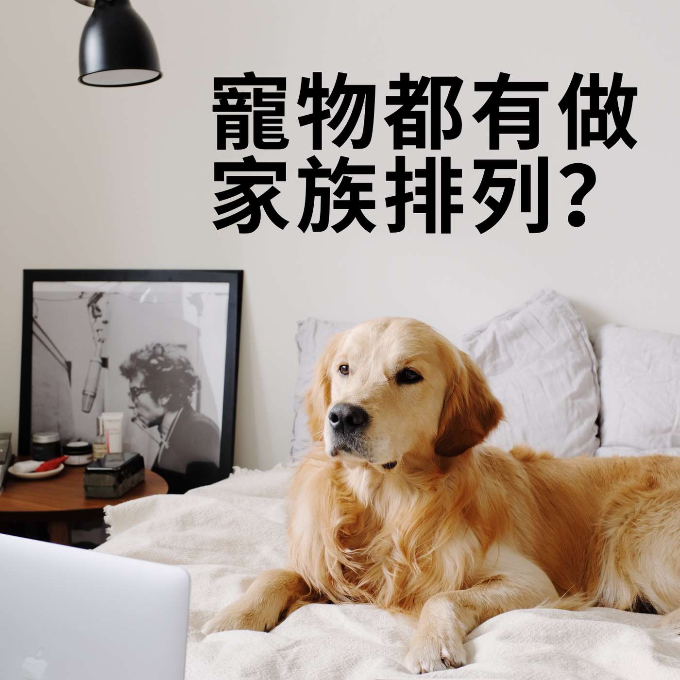 家族排列:你了解你寵物嘅經歷同感受嗎?