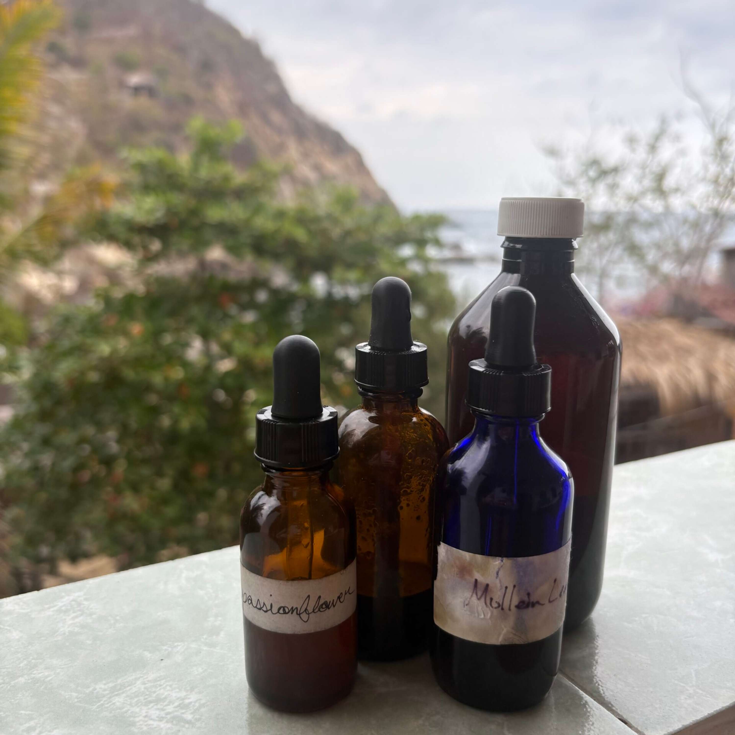 Medicine Basics: Tinctures episode artwork