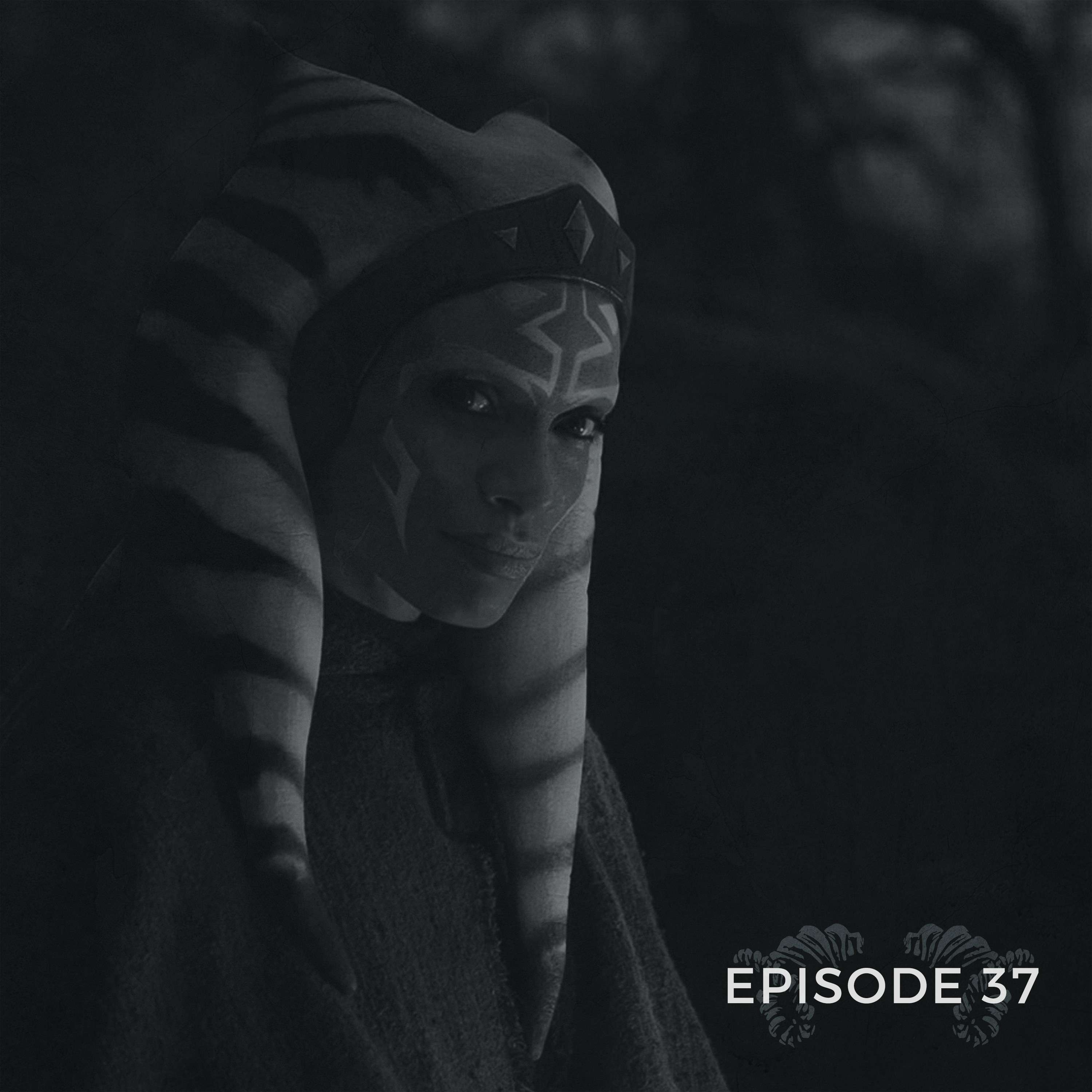 Bantha Fodder