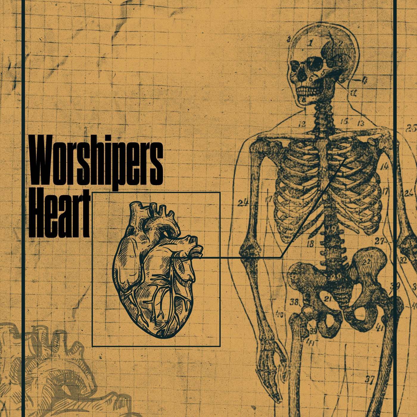 Worshipers Heart episode artwork