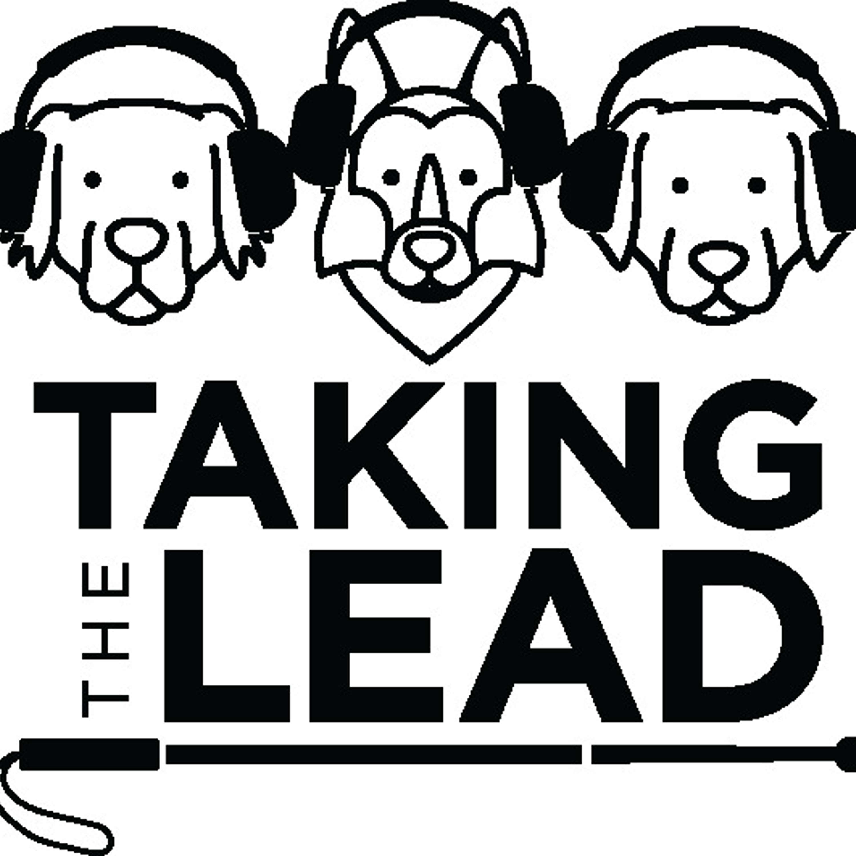 Taking the Lead
