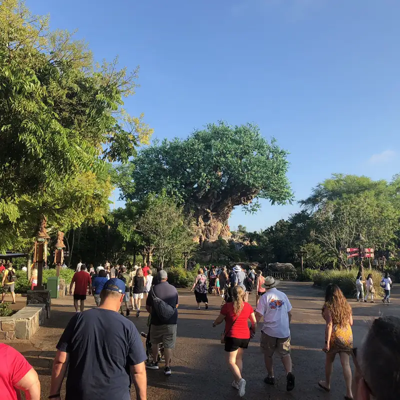 Episode 117: Discovering Animal Kingdom Discovery Island