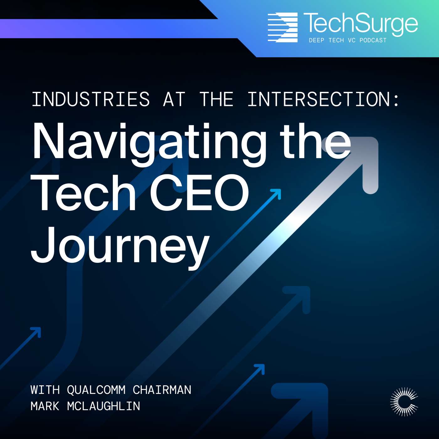 The Tech CEO Playbook: Strategies for Success
