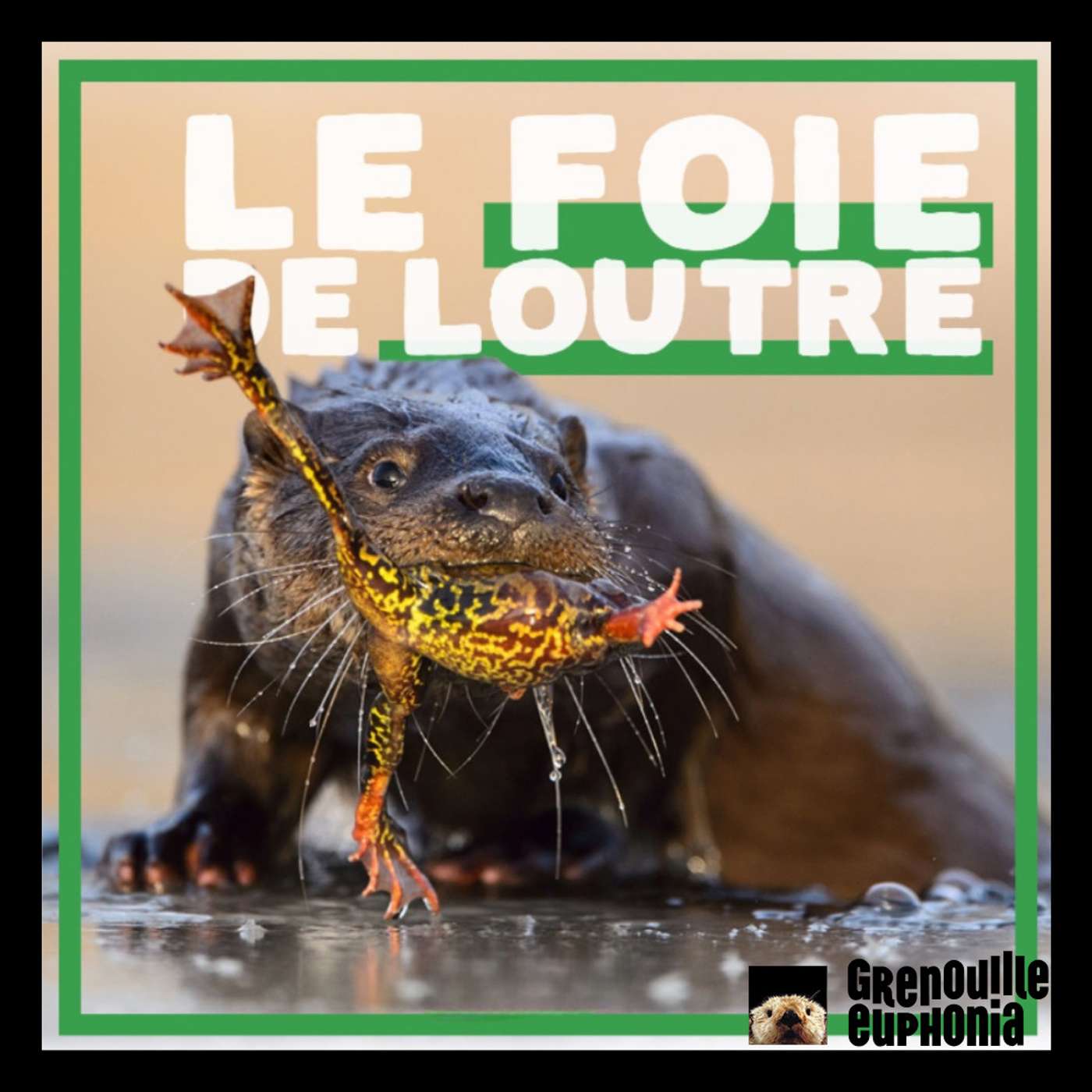 Le Foie De Loutre