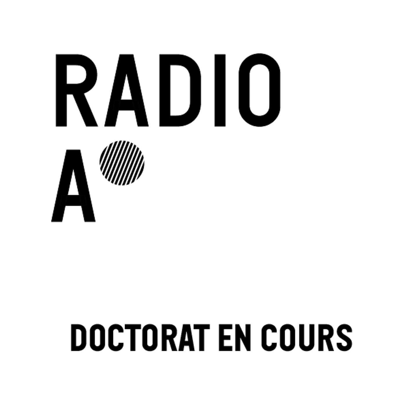 Doctorat en cours 