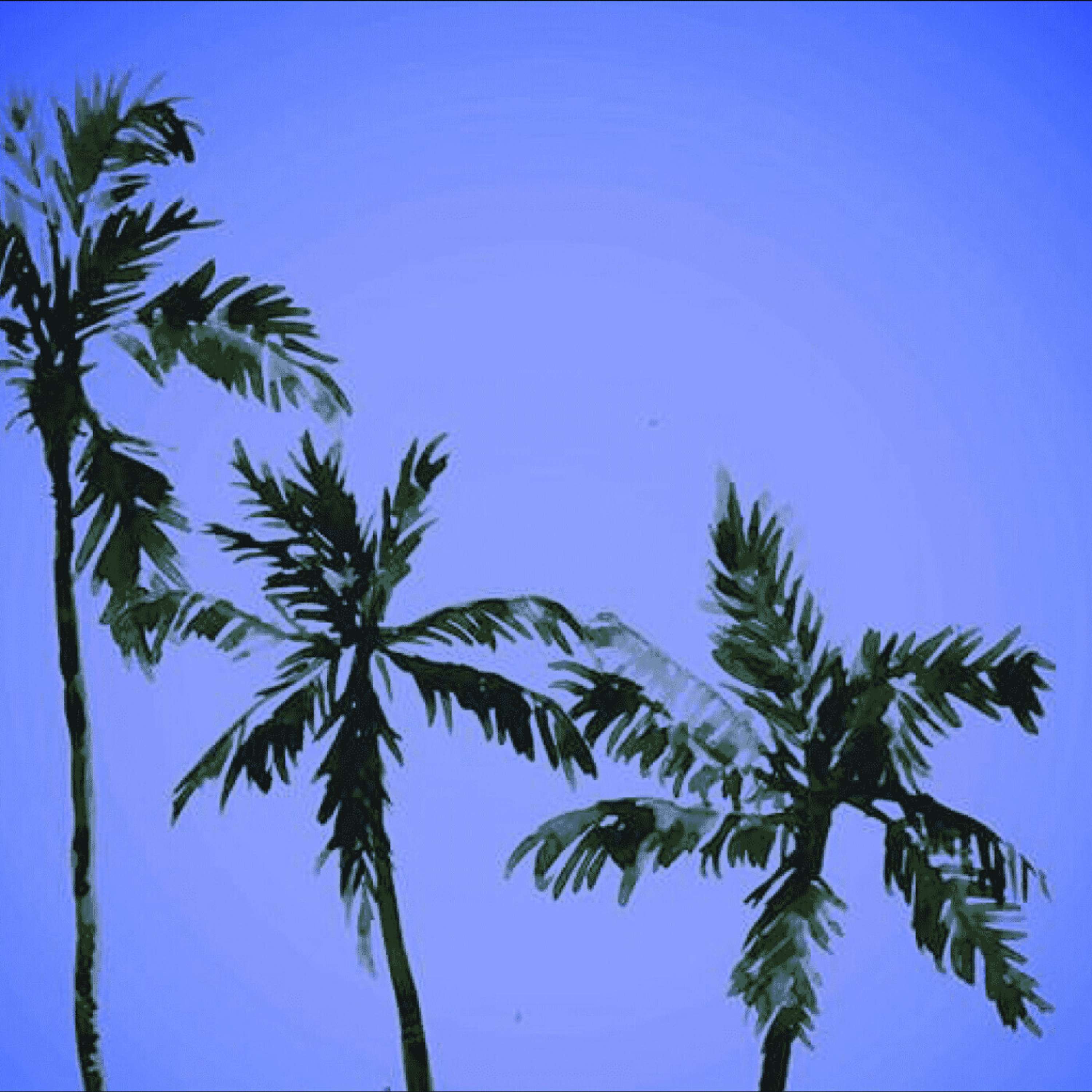 L\'Art de l\'Écoute