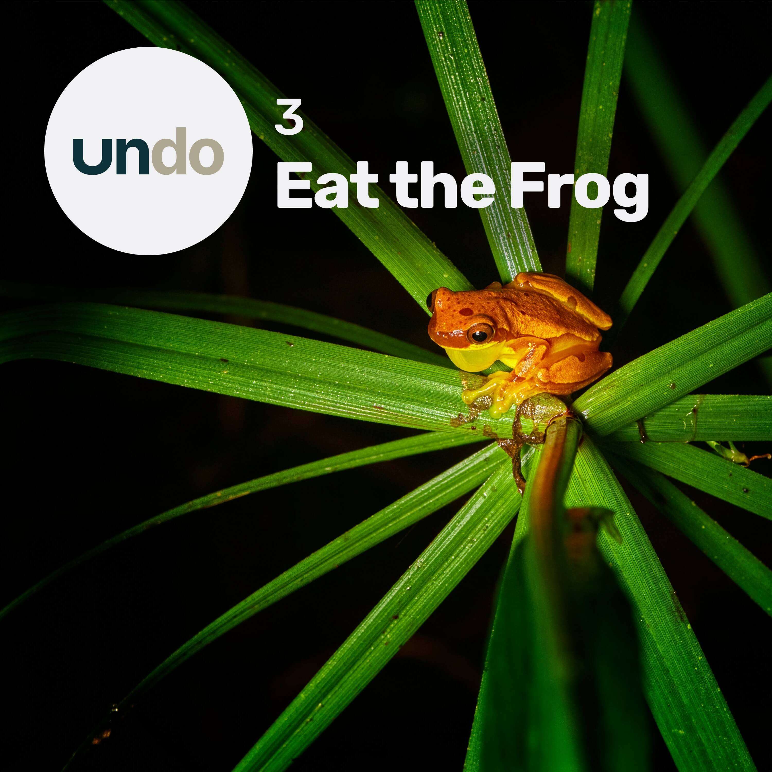 Do the worst thing first thing (”Eat the frog”)