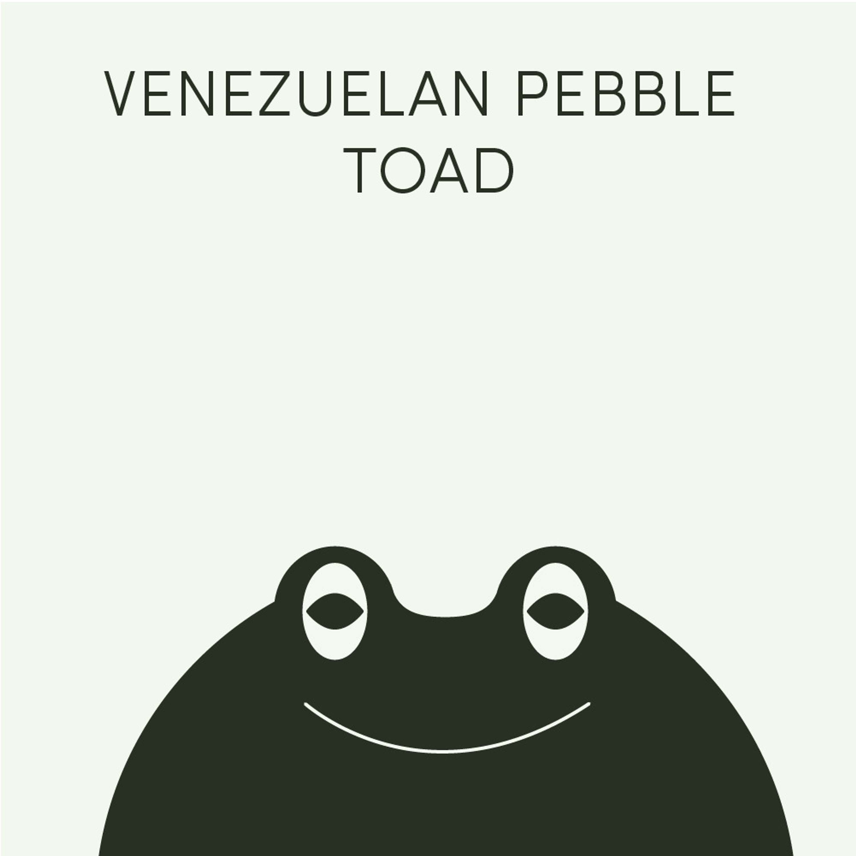 Venezuelan Pebble Toad | Week of April 11th