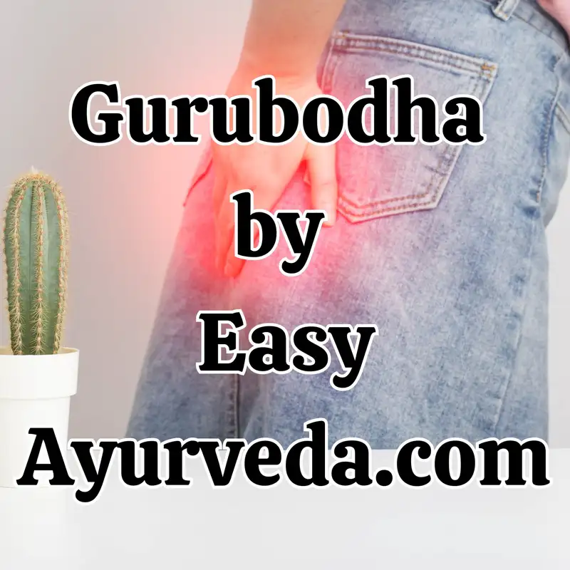 Gurubodha 111: Piles and Fistula – Clinical Views | Arshas in Clinical Practice – Causes And Ayurveda Treatment modality