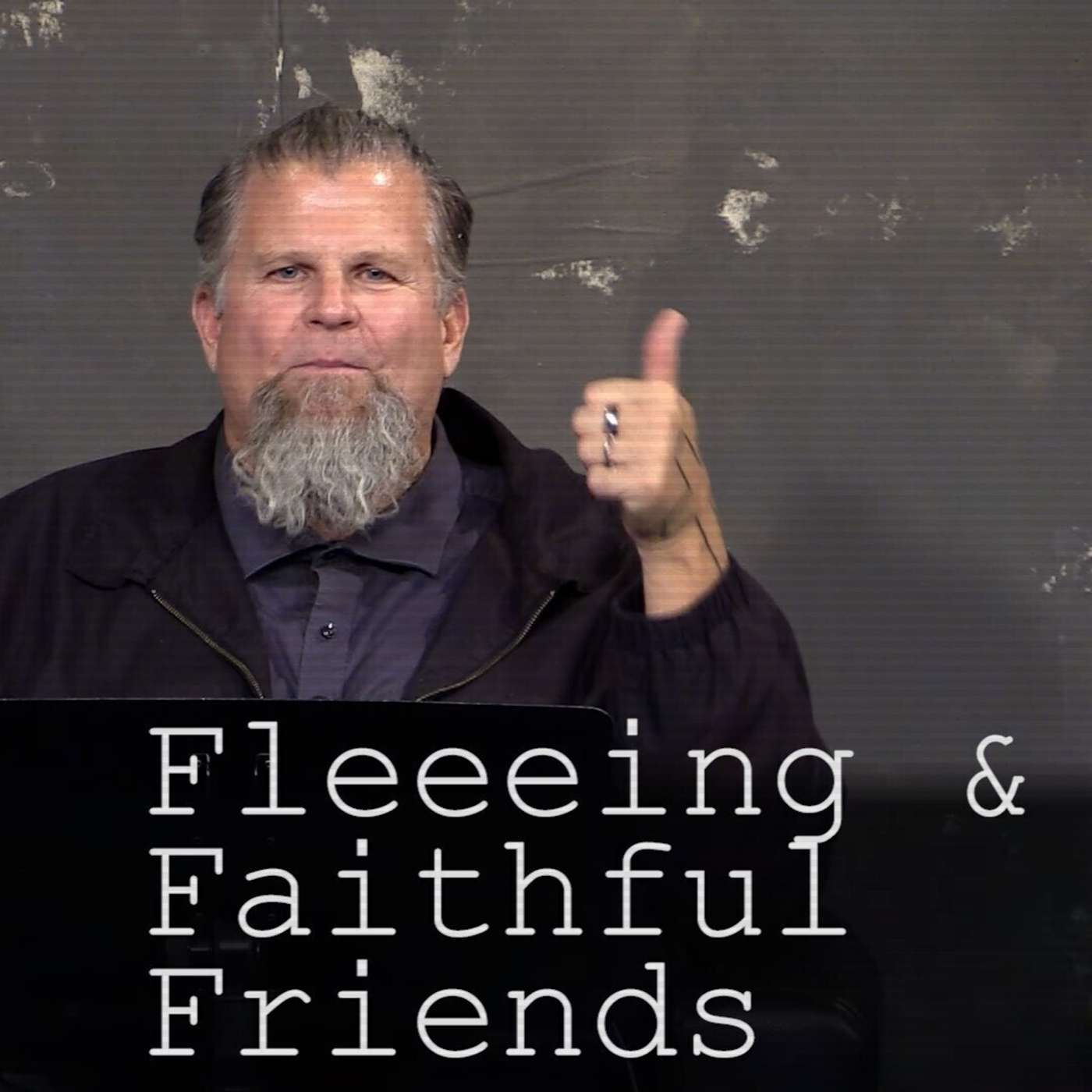 [13s] Fleeing and Faithful Friends episode artwork