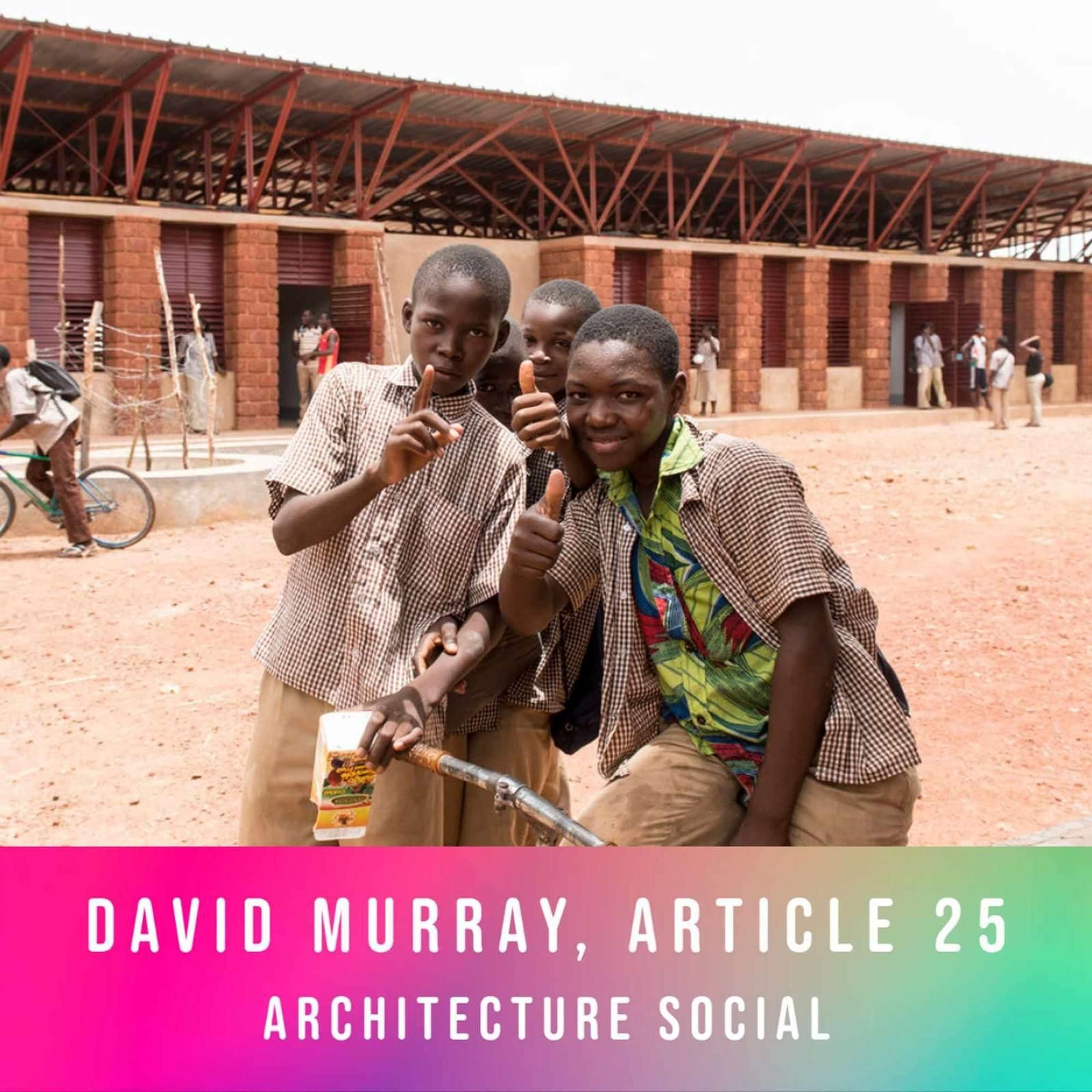 David Murray, Article 25