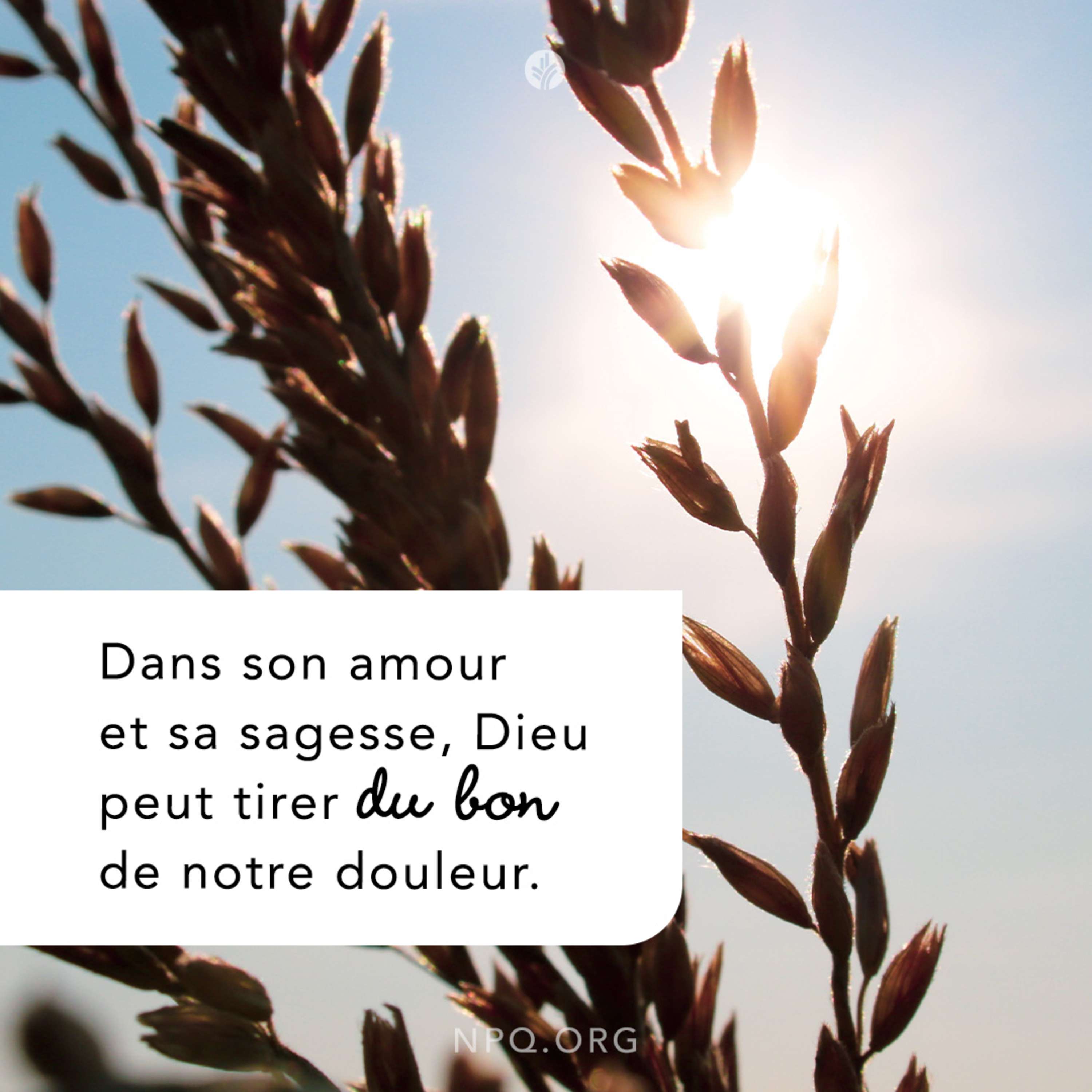 Notre Pain Quotidien podcast