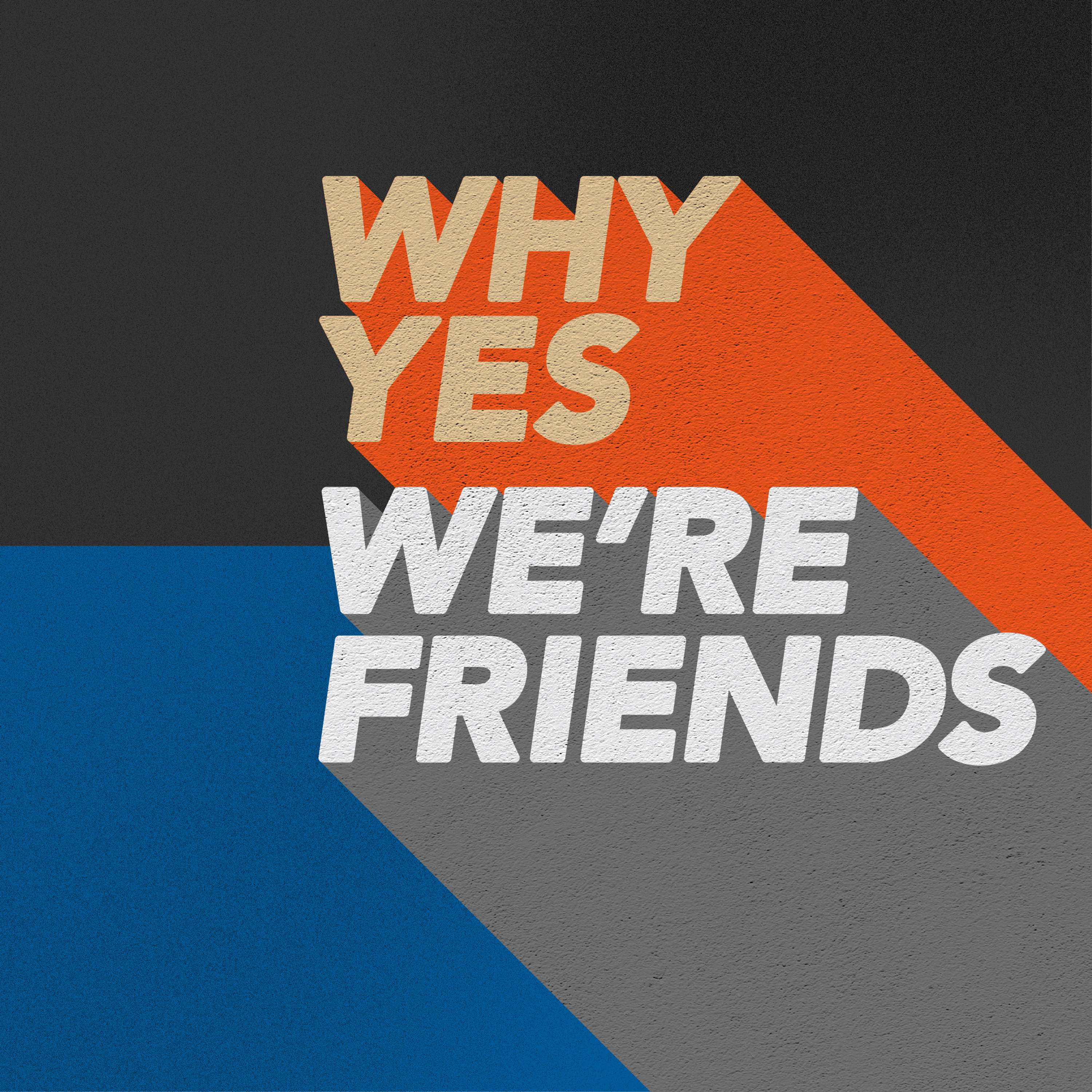 Why Yes, We\'re Friends