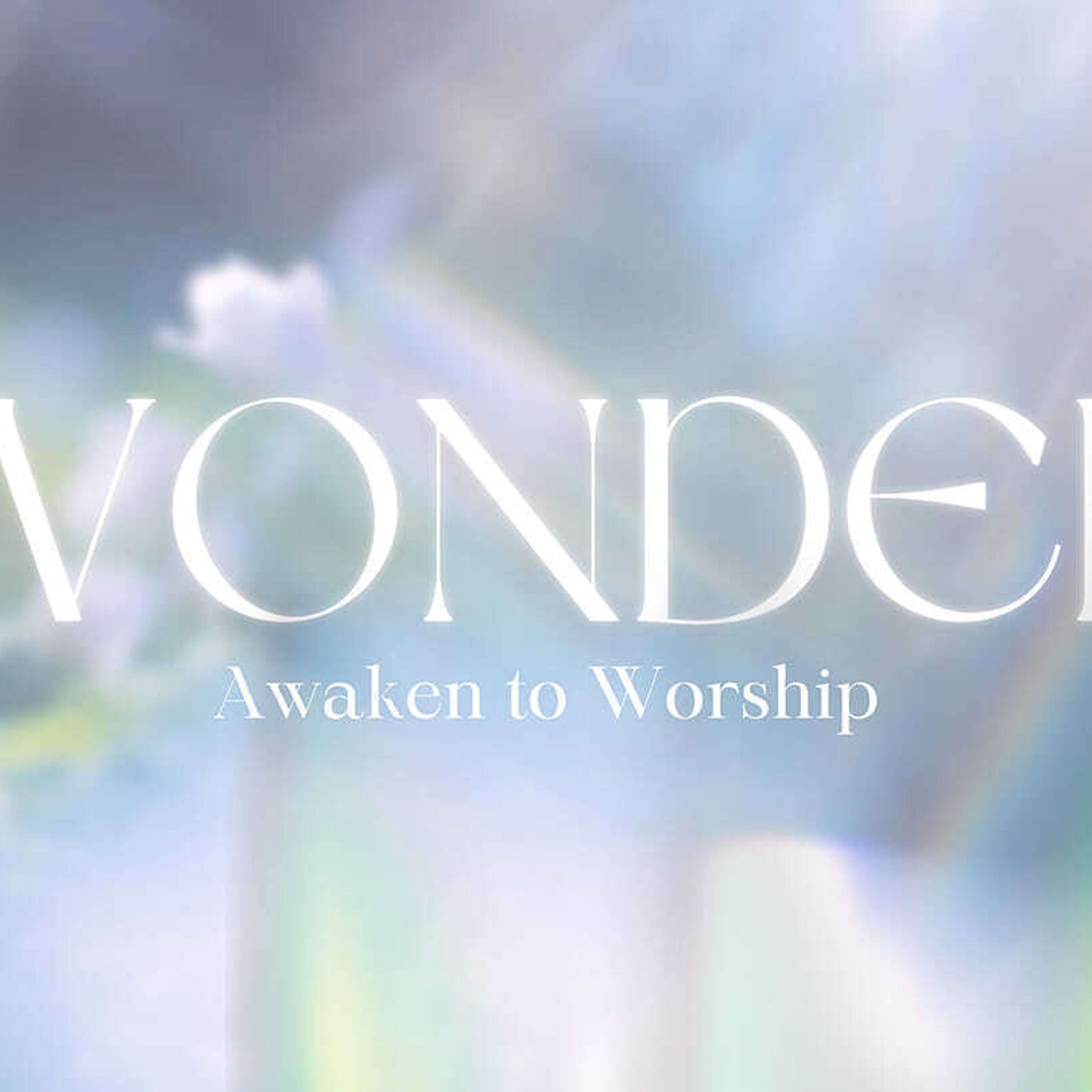 Wonder - Worship Your Way Through It