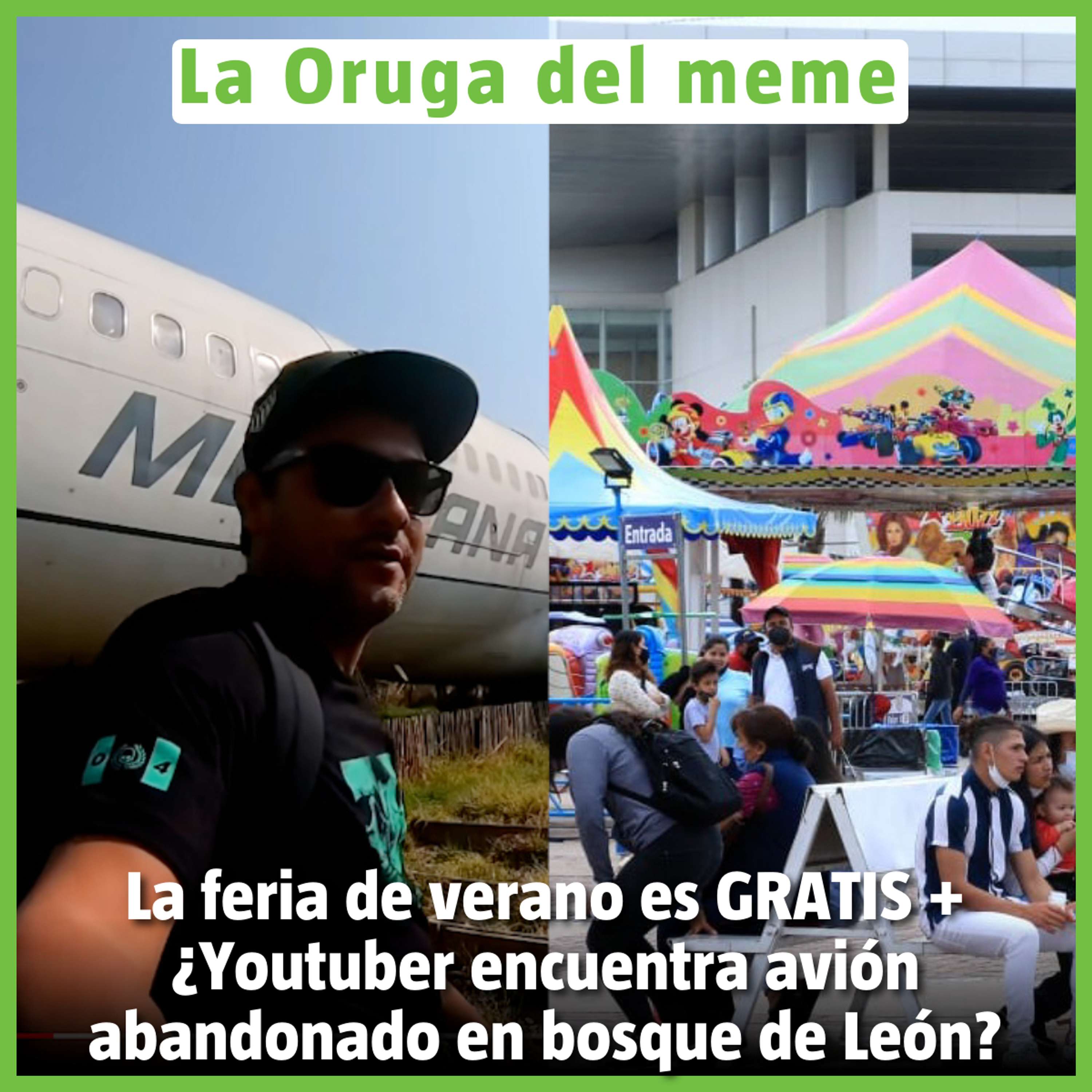 La Oruga del Meme