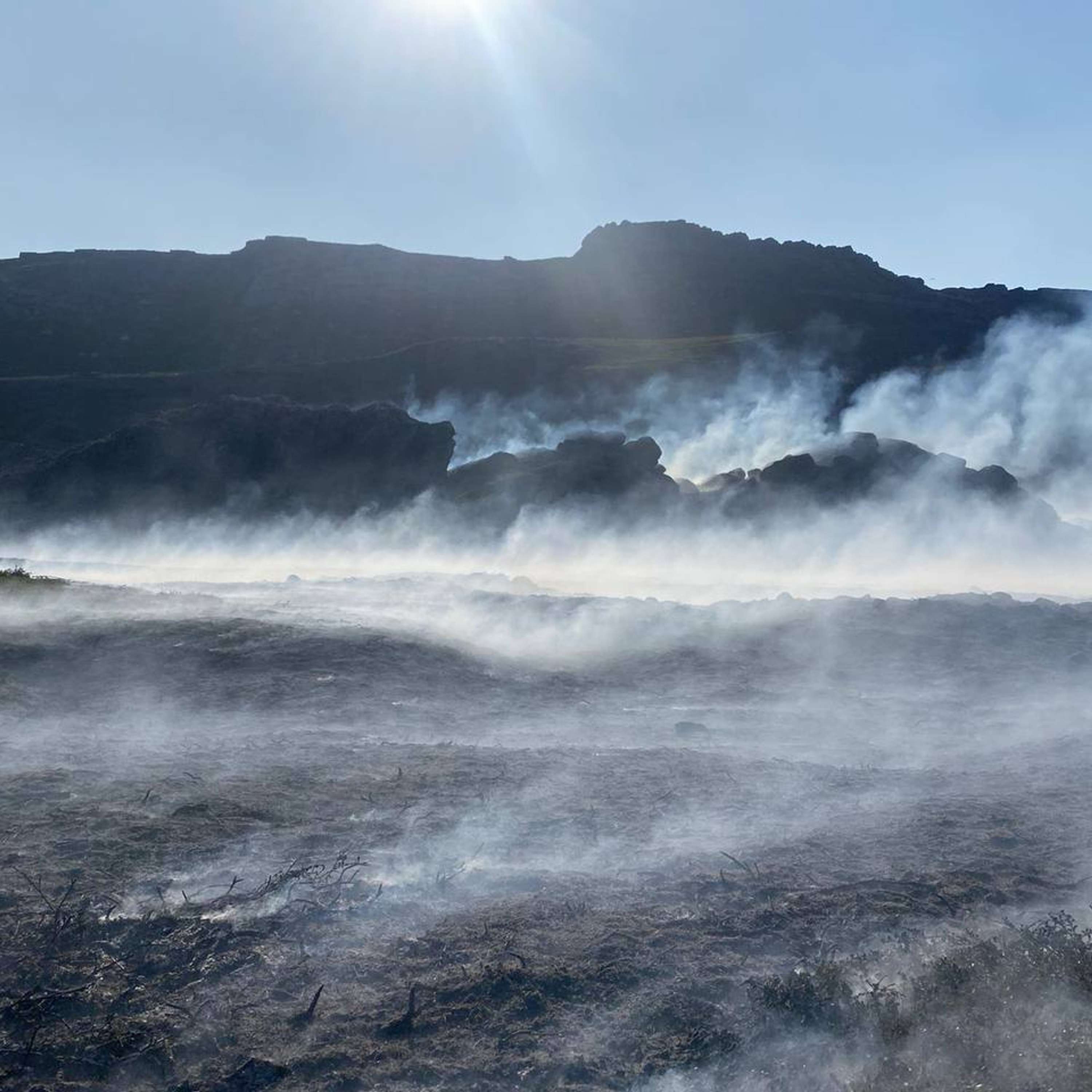 В Мурманской области горел полуостров Рыбачий